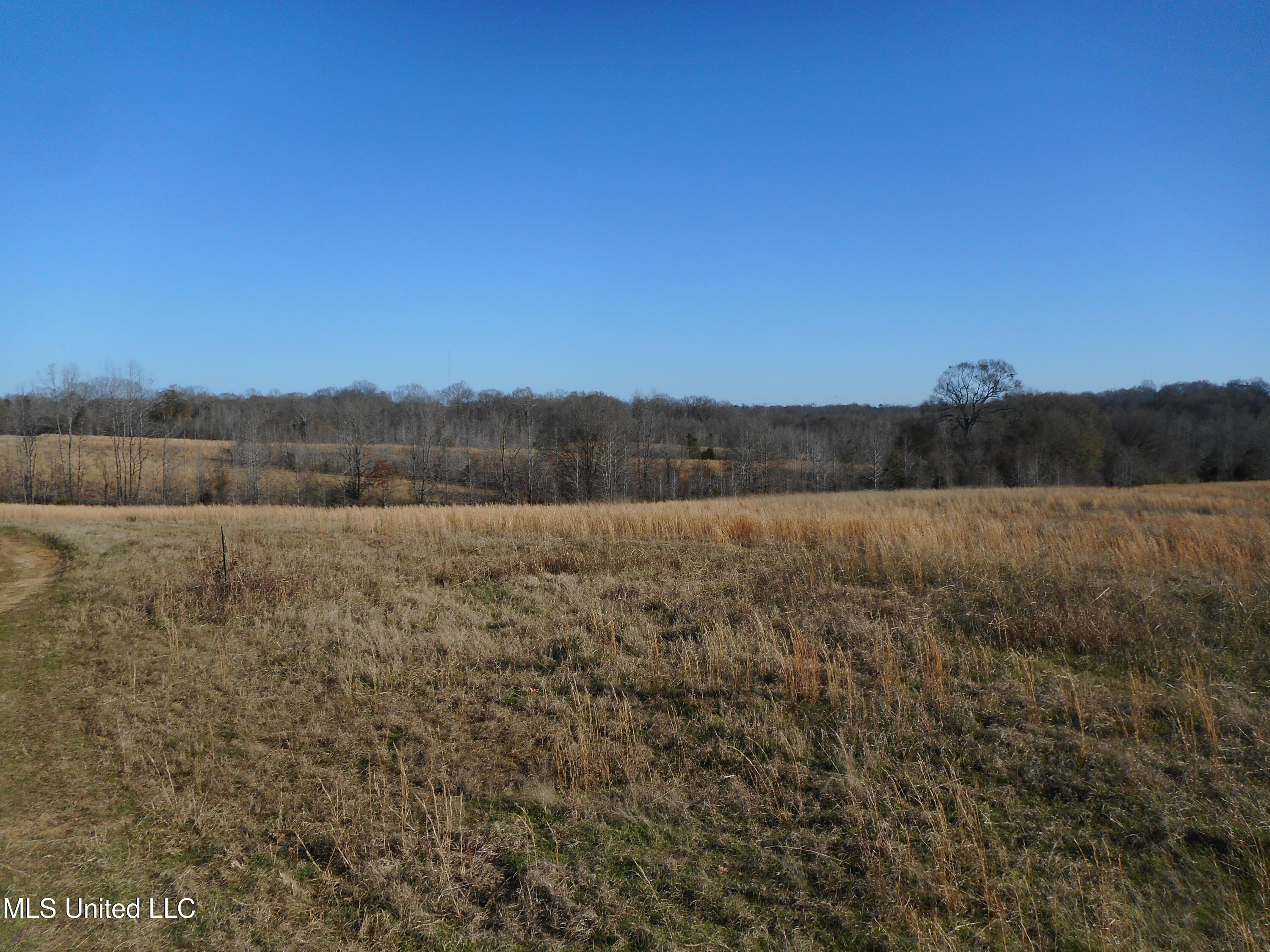 Chichester Road, Edwards, Mississippi image 33