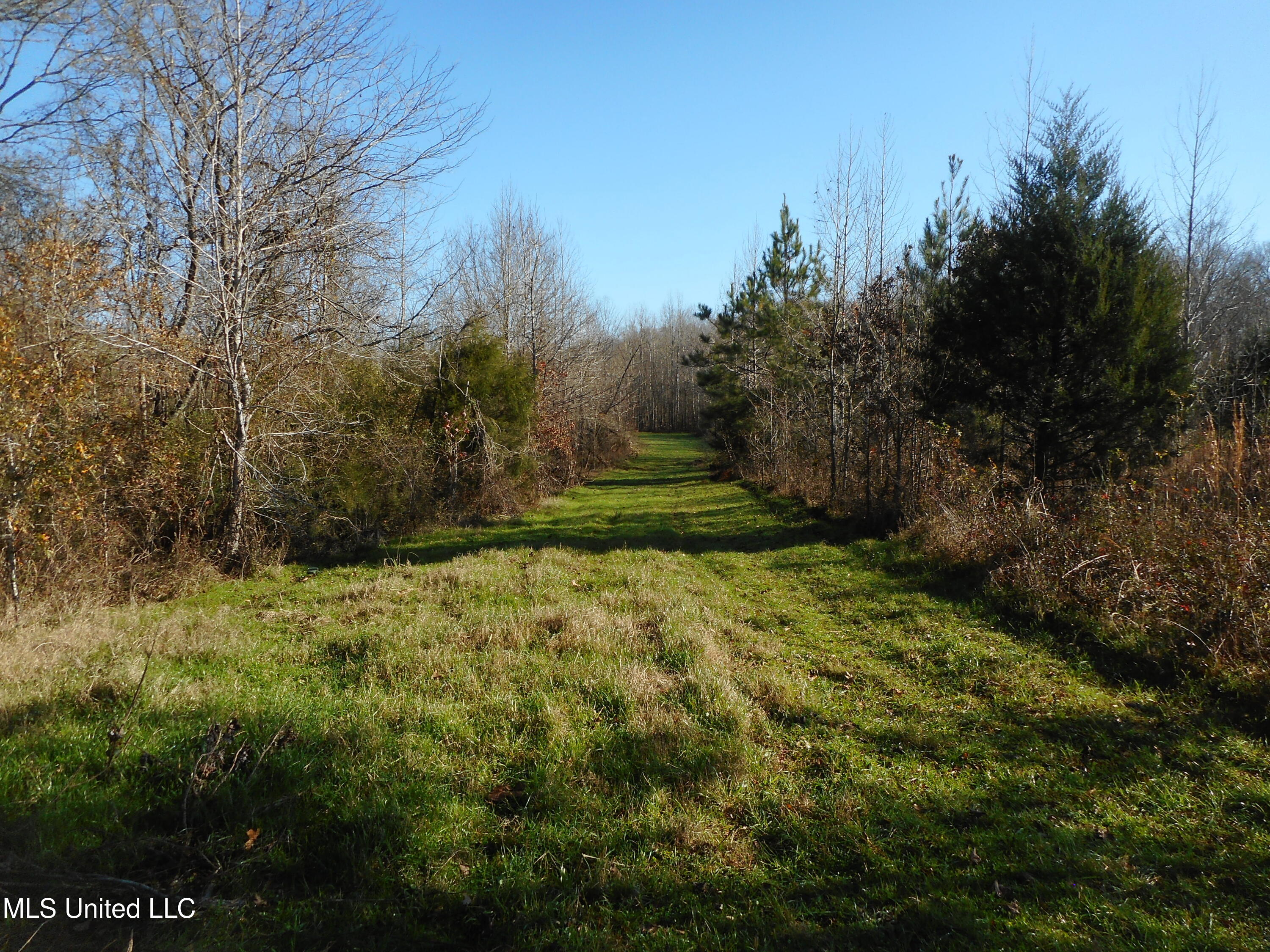 Chichester Road, Edwards, Mississippi image 29