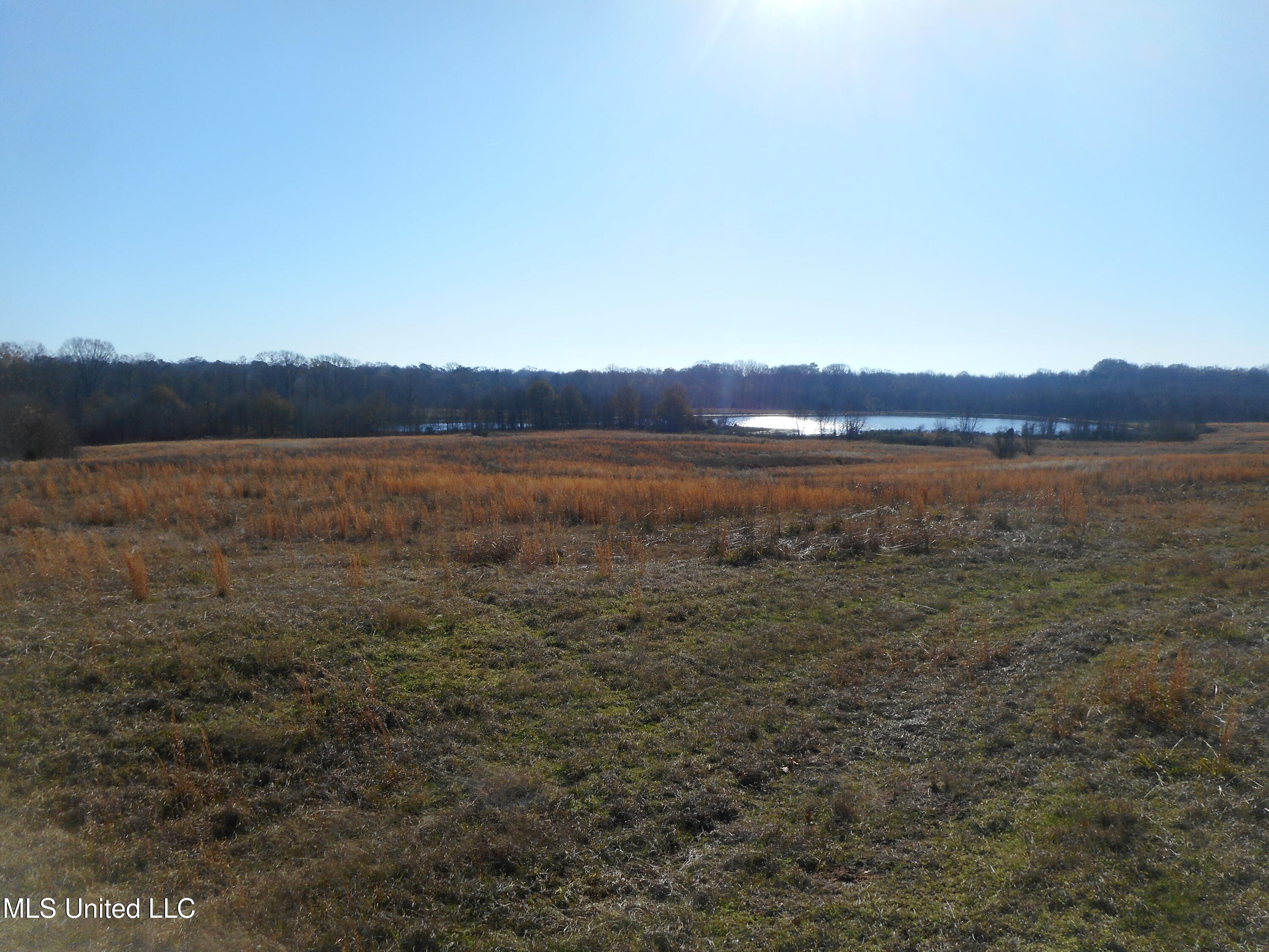 Chichester Road, Edwards, Mississippi image 5