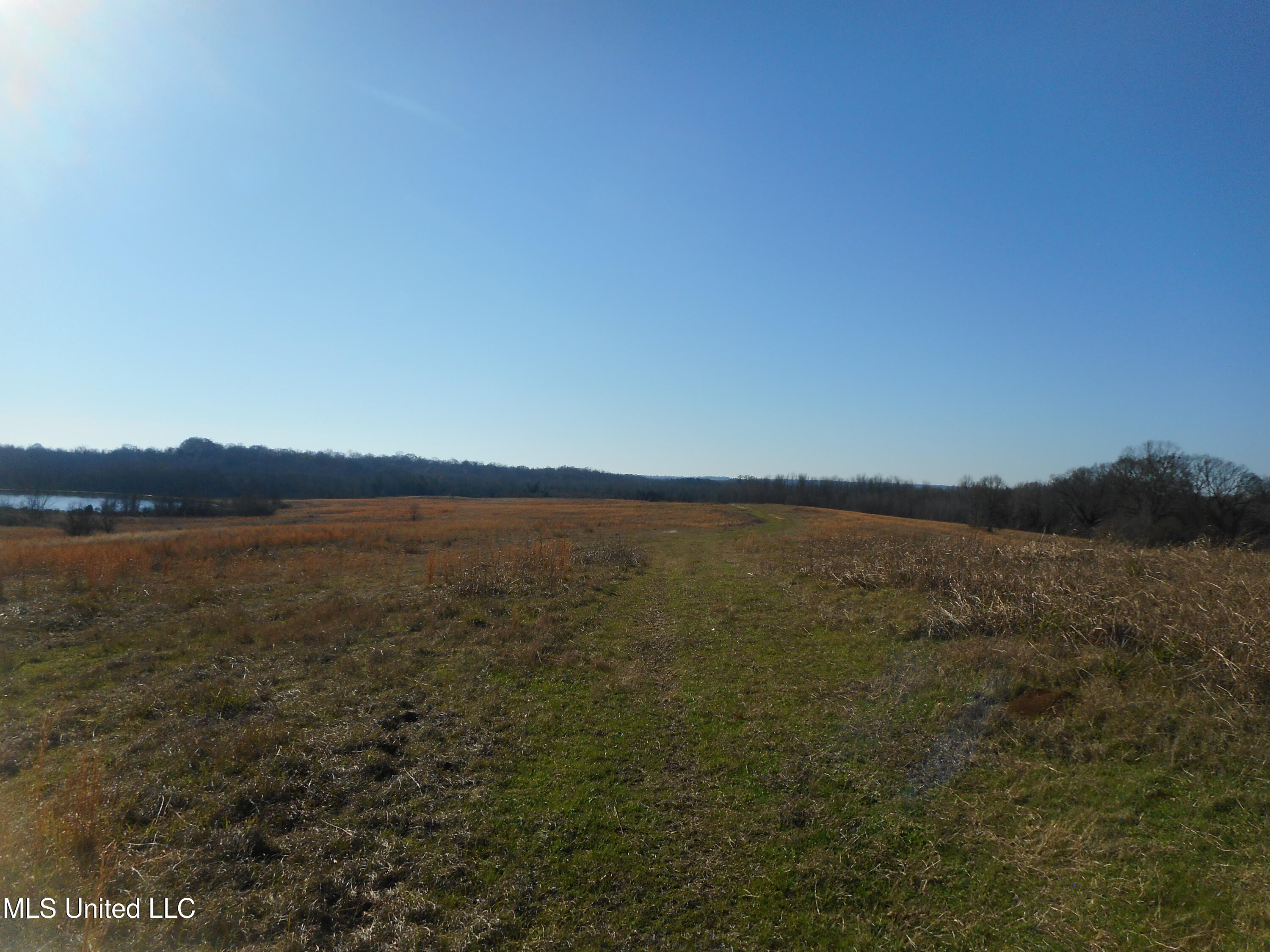 Chichester Road, Edwards, Mississippi image 35