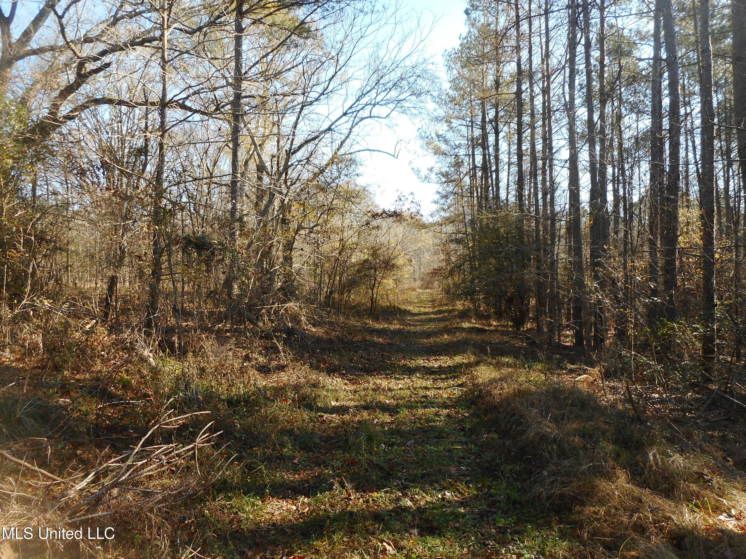 Chichester Road, Edwards, Mississippi image 43