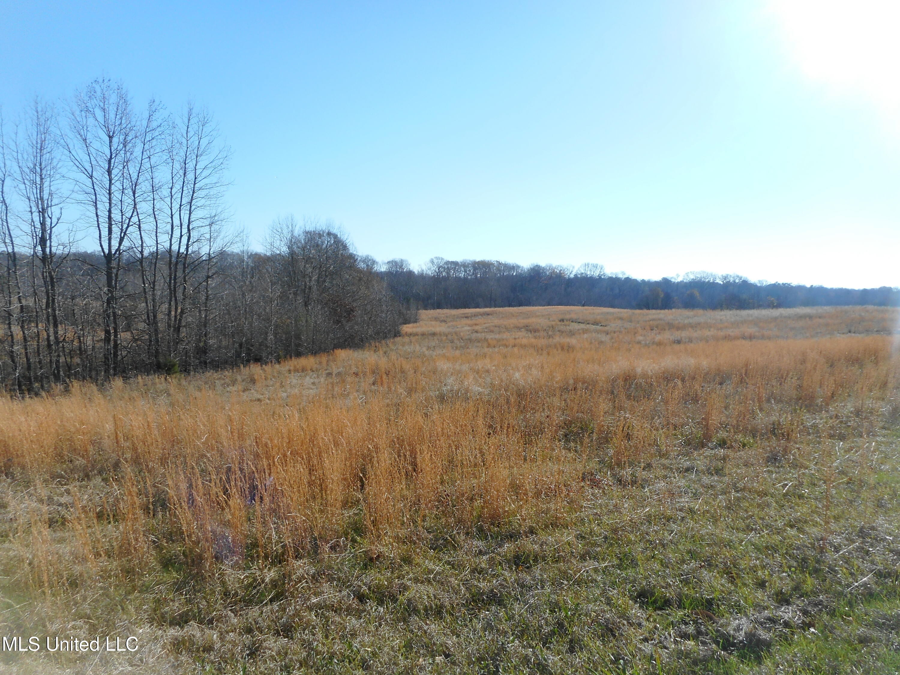 Chichester Road, Edwards, Mississippi image 32