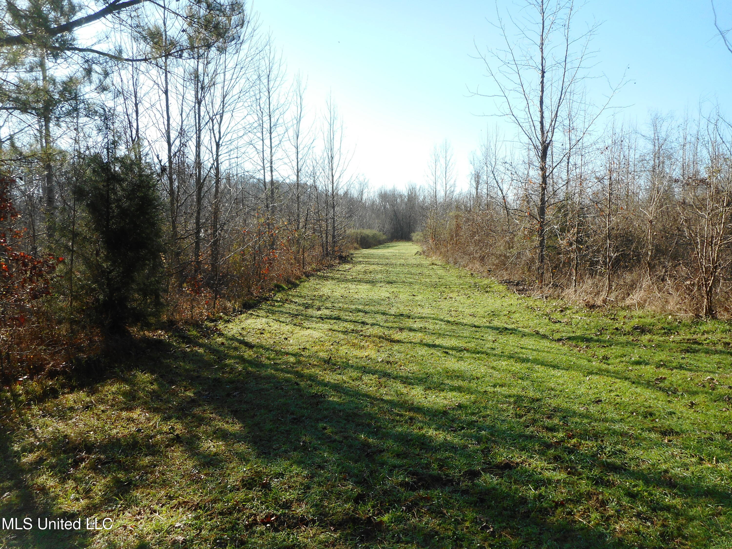 Chichester Road, Edwards, Mississippi image 3