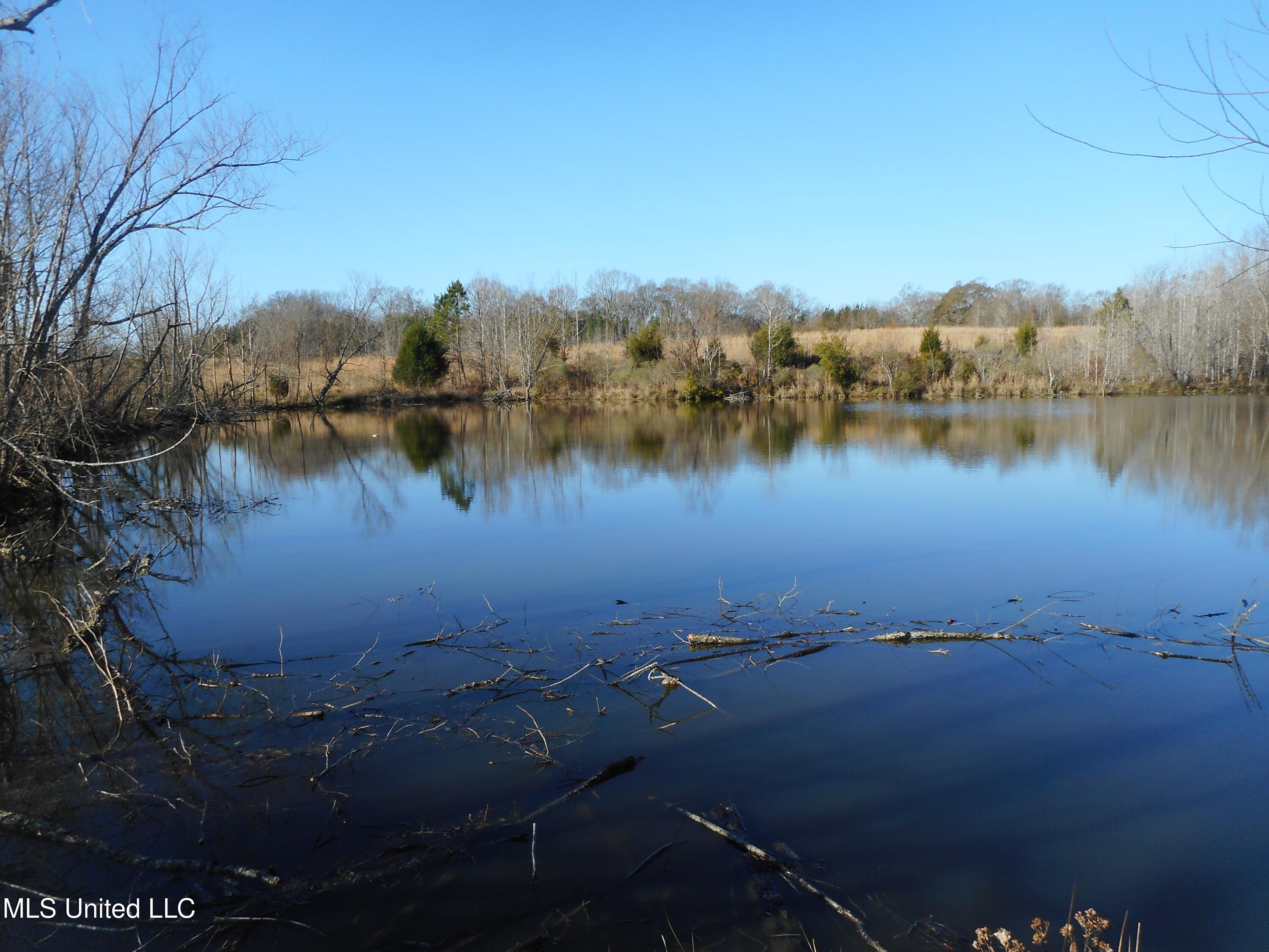 Chichester Road, Edwards, Mississippi image 18