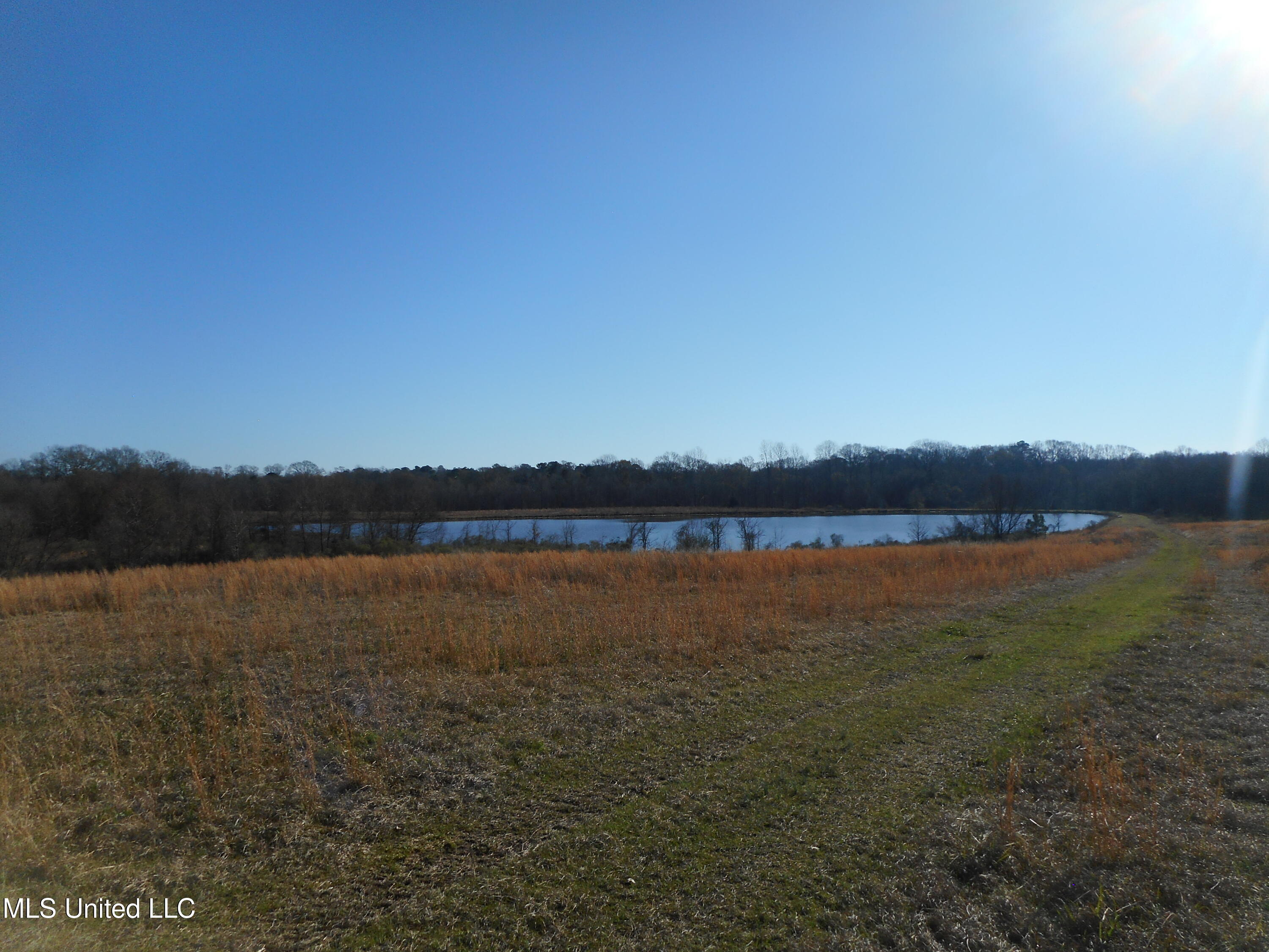 Chichester Road, Edwards, Mississippi image 36