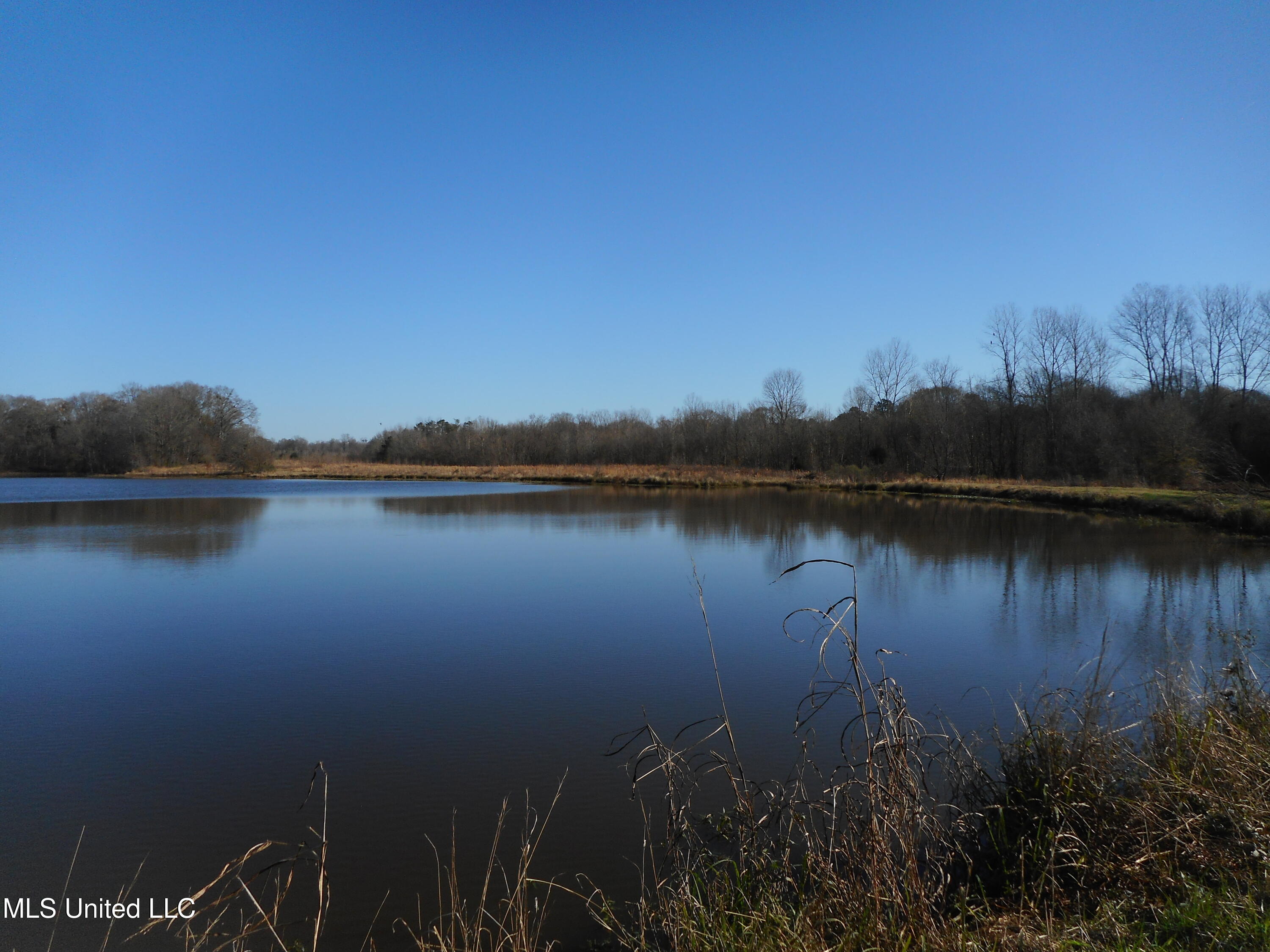 Chichester Road, Edwards, Mississippi image 10