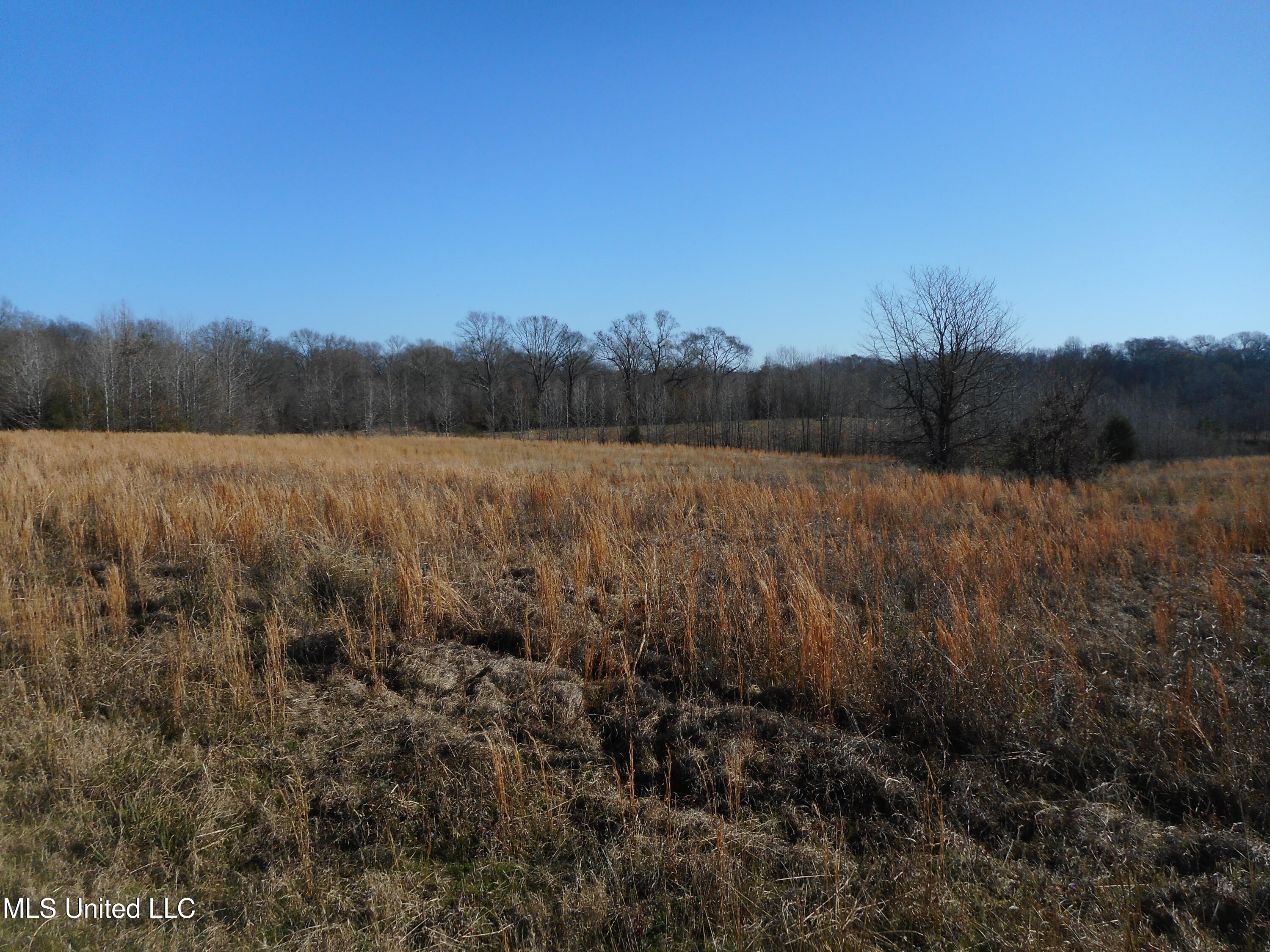 Chichester Road, Edwards, Mississippi image 30