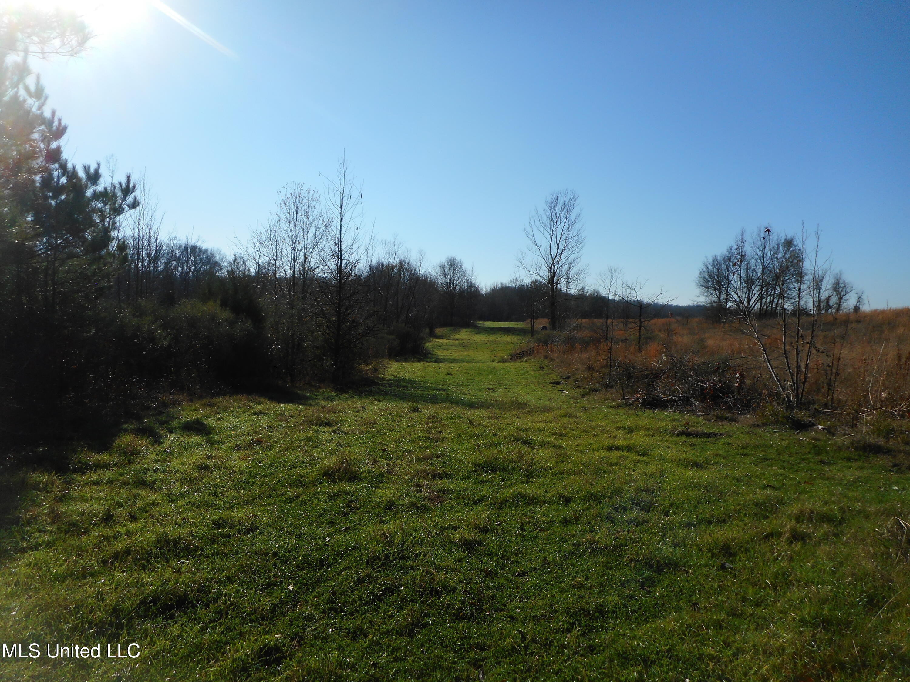 Chichester Road, Edwards, Mississippi image 28