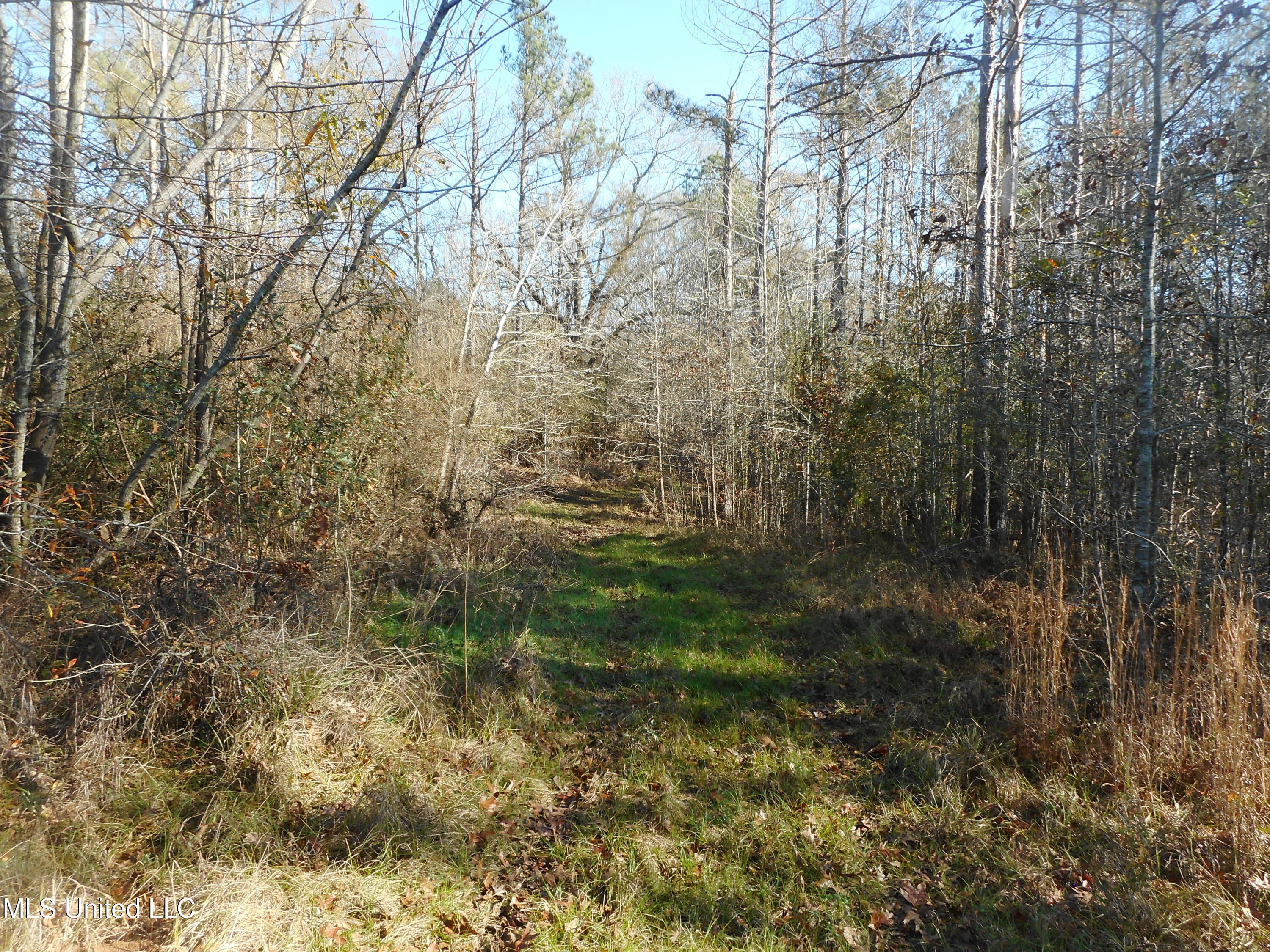 Chichester Road, Edwards, Mississippi image 7