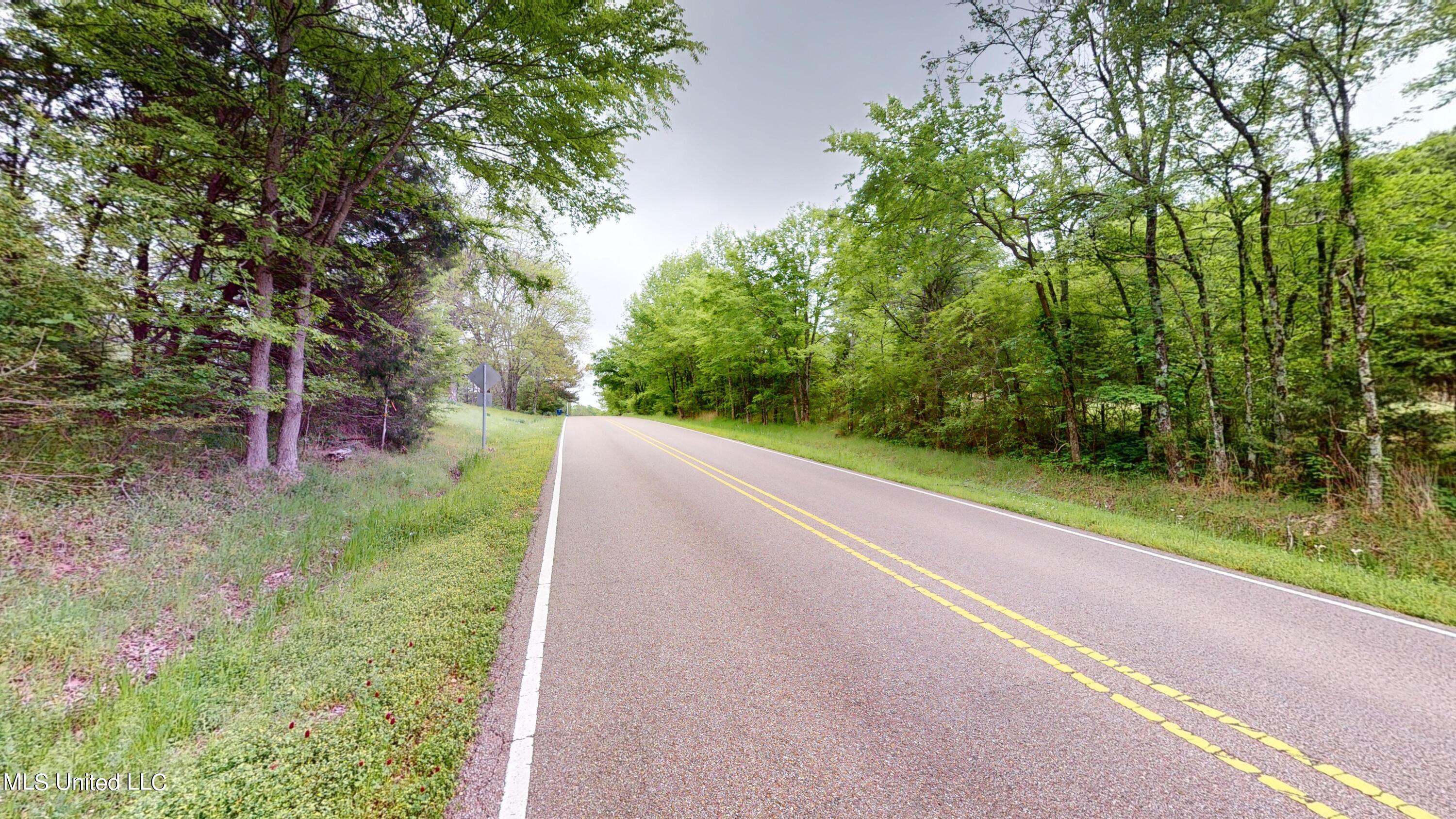 Bethel Rd Road, Olive Branch, Mississippi image 4