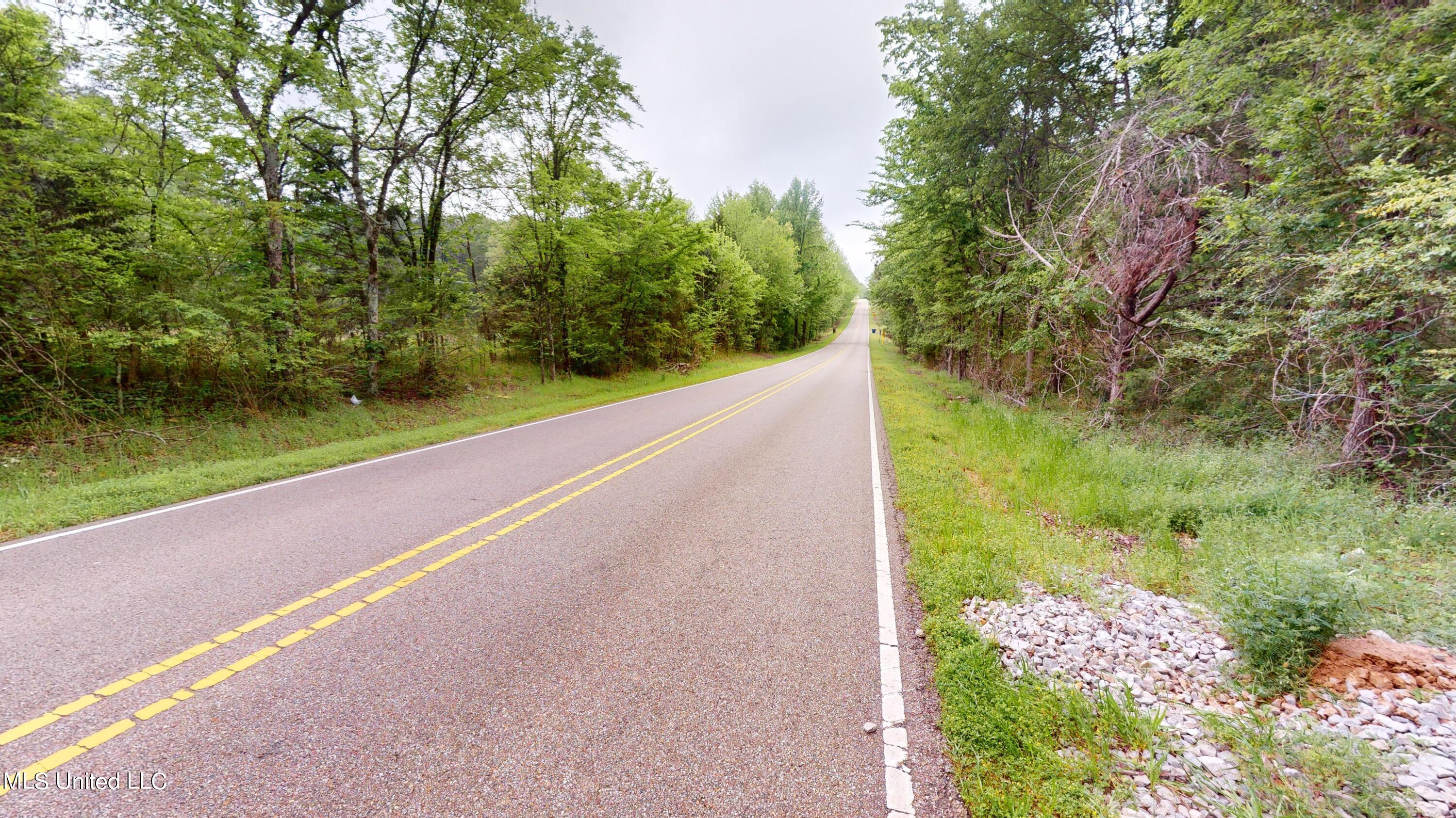 Bethel Rd Road, Olive Branch, Mississippi image 9