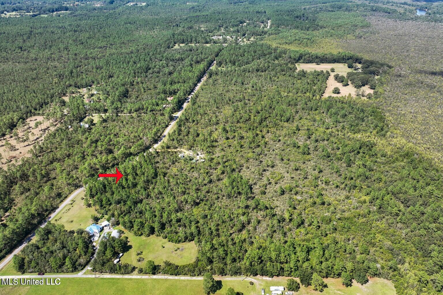 Pollock Ferry Road, Moss Point, Mississippi image 2