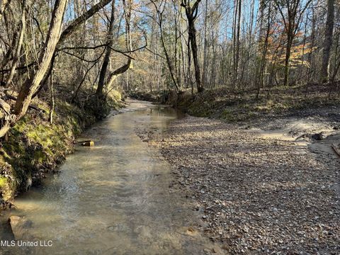 Vacant Land For Sale - Hickory Ridge Road<br/> Claiborne County, Hermanville, MS 39086