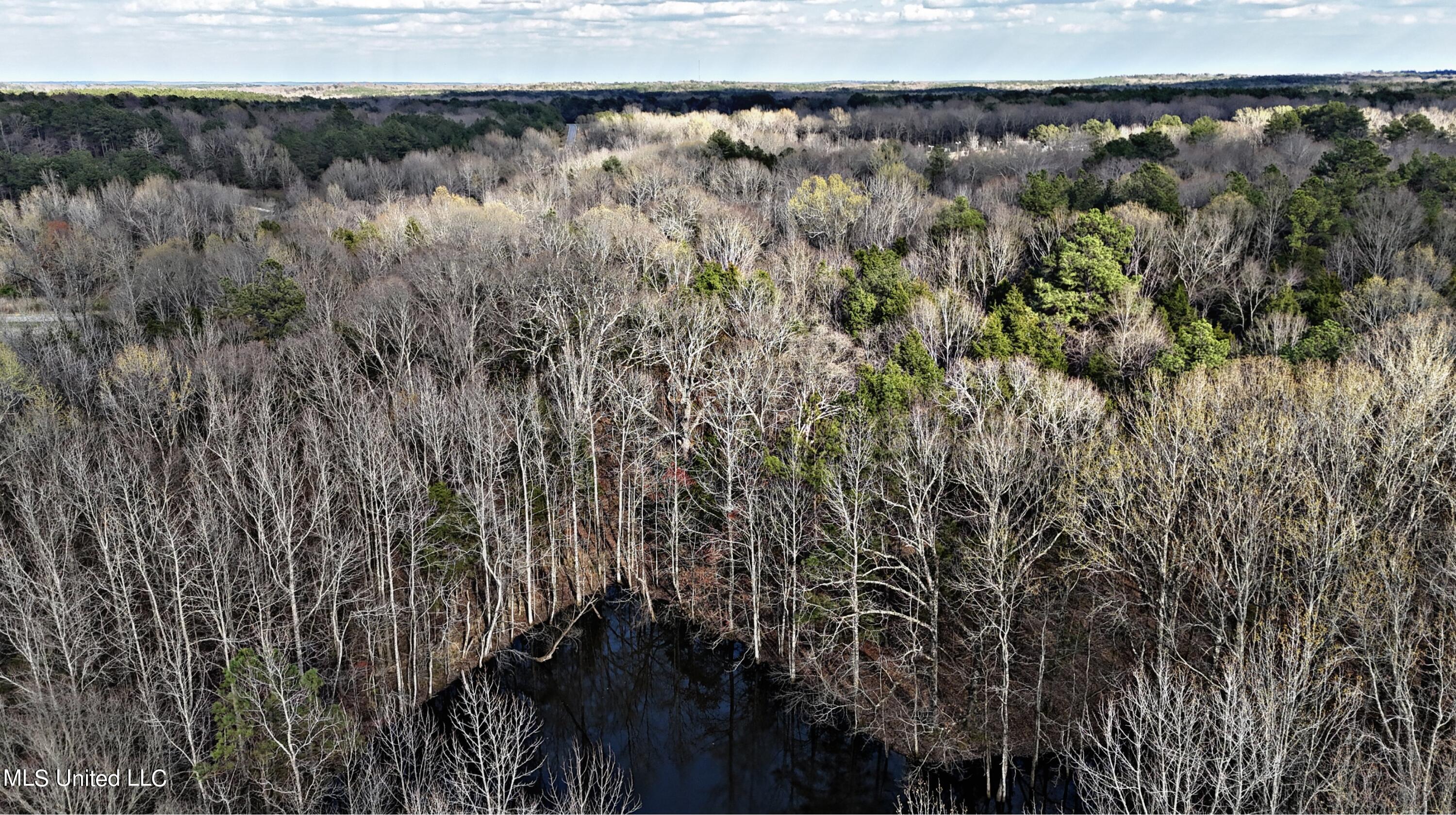 Wall Hill Farms Rd, Byhalia, Mississippi image 7