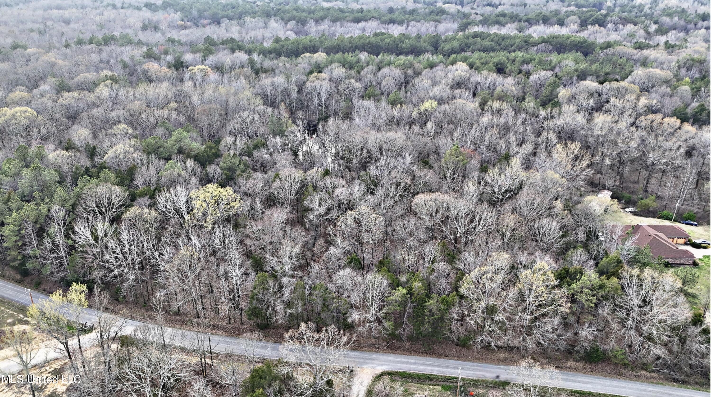 Wall Hill Farms Rd, Byhalia, Mississippi image 9