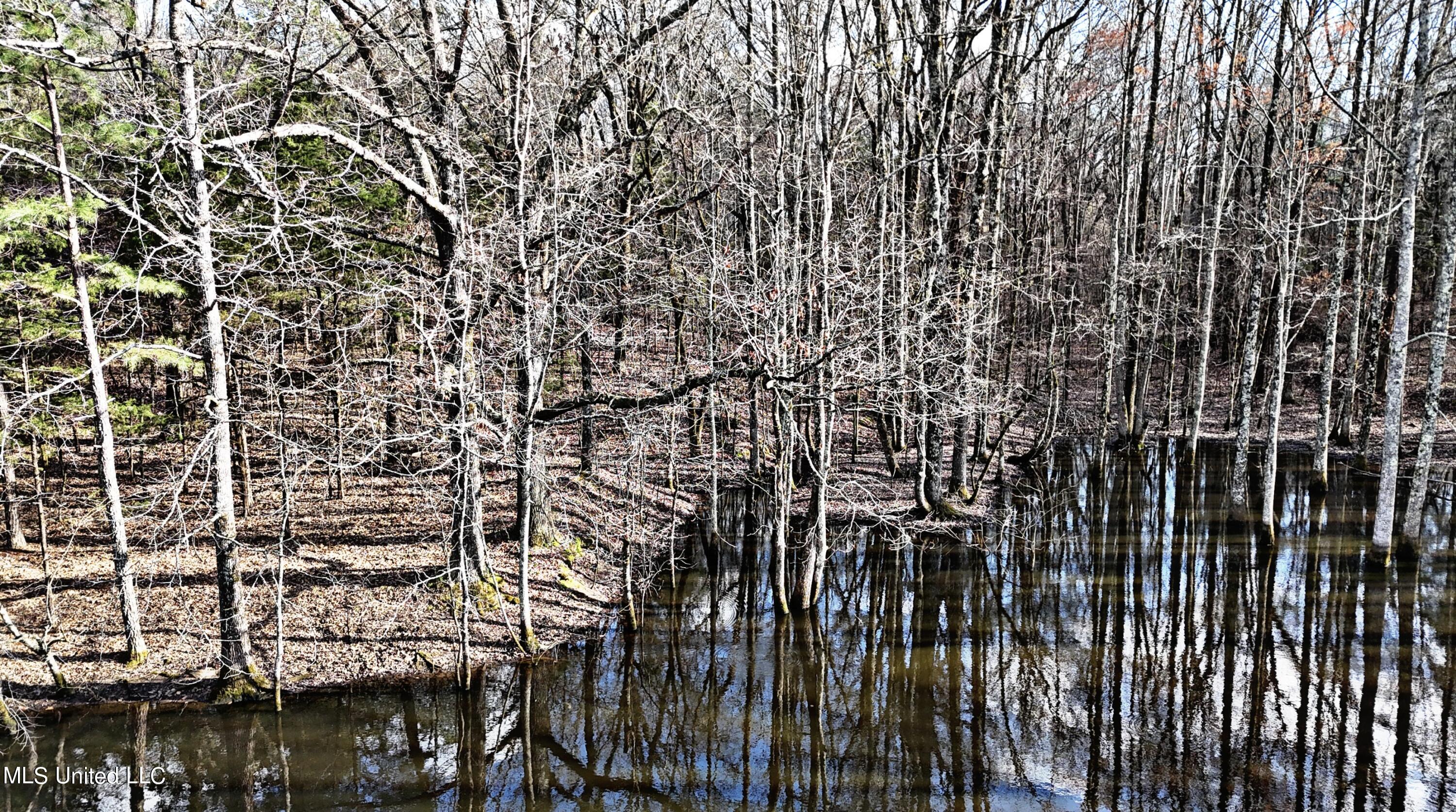 Wall Hill Farms Rd, Byhalia, Mississippi image 8