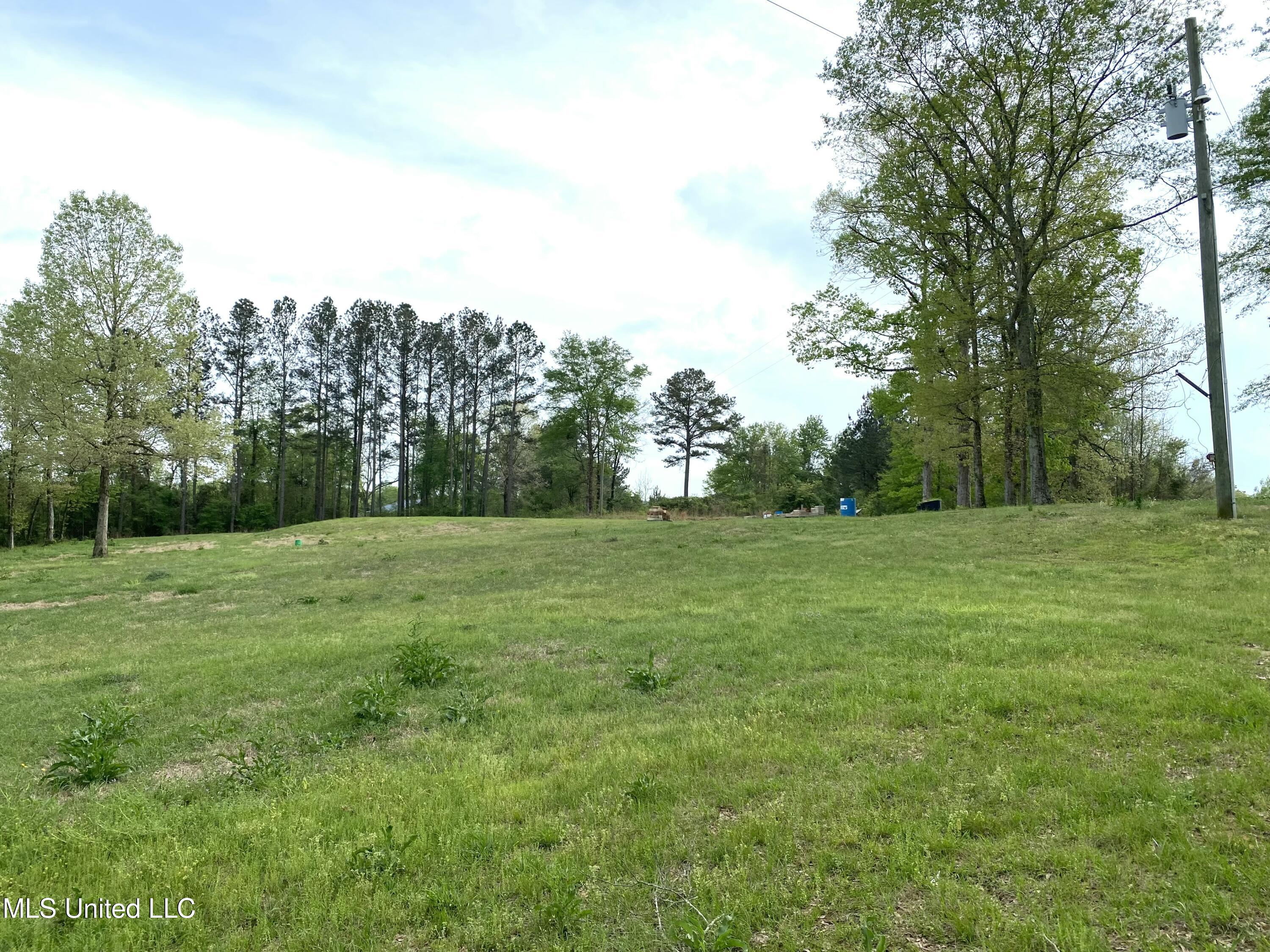 96 R C Road, Conehatta, Mississippi image 15