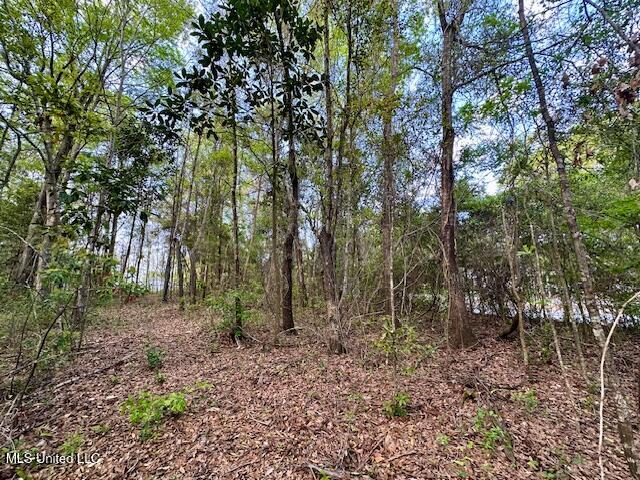 Simon Boulevard, Ocean Springs, Mississippi image 11
