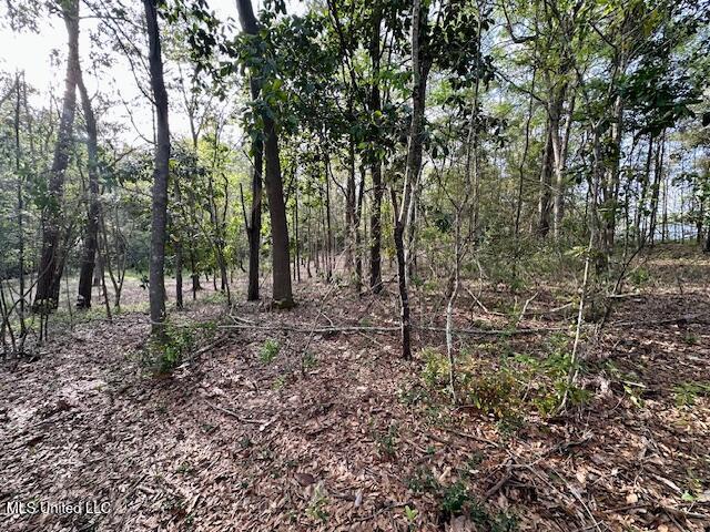 Simon Boulevard, Ocean Springs, Mississippi image 13