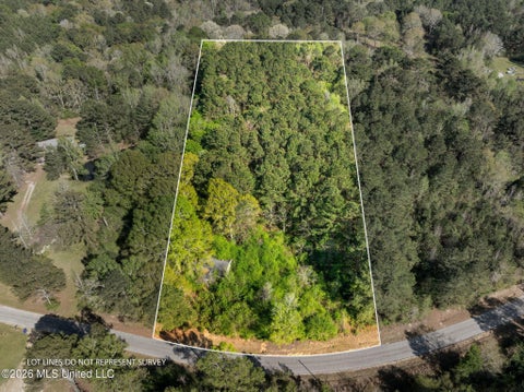 Vacant Land For Sale - 3 ACRES Will Barber Road<br/> Pinola, MS 39149