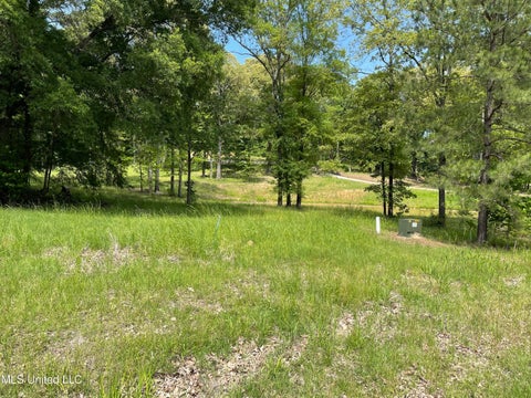 Vacant Land For Sale - H Dover Lane<br/> Madison, MS 39110