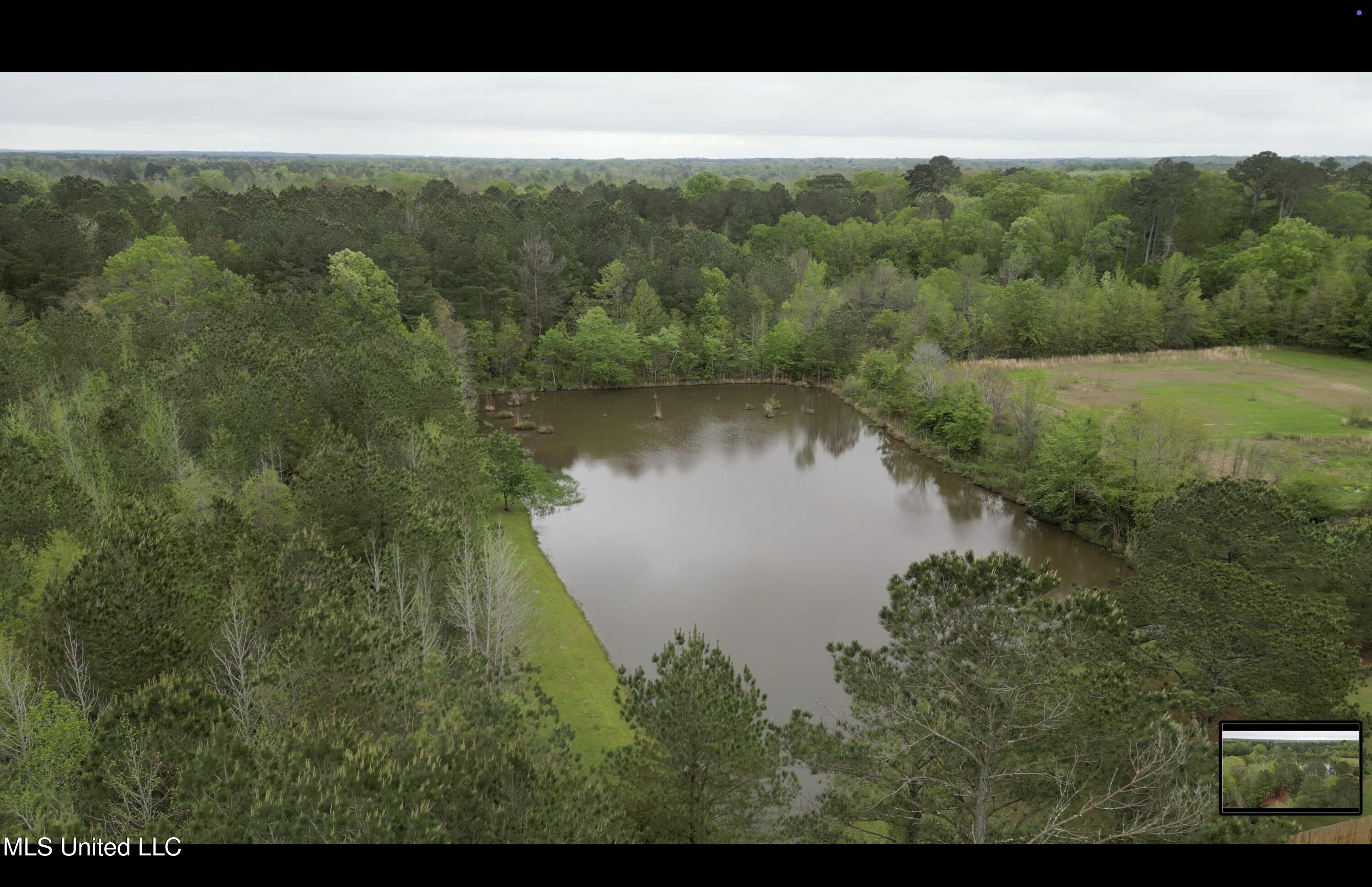 1102 Highway 35, Carthage, Mississippi image 29