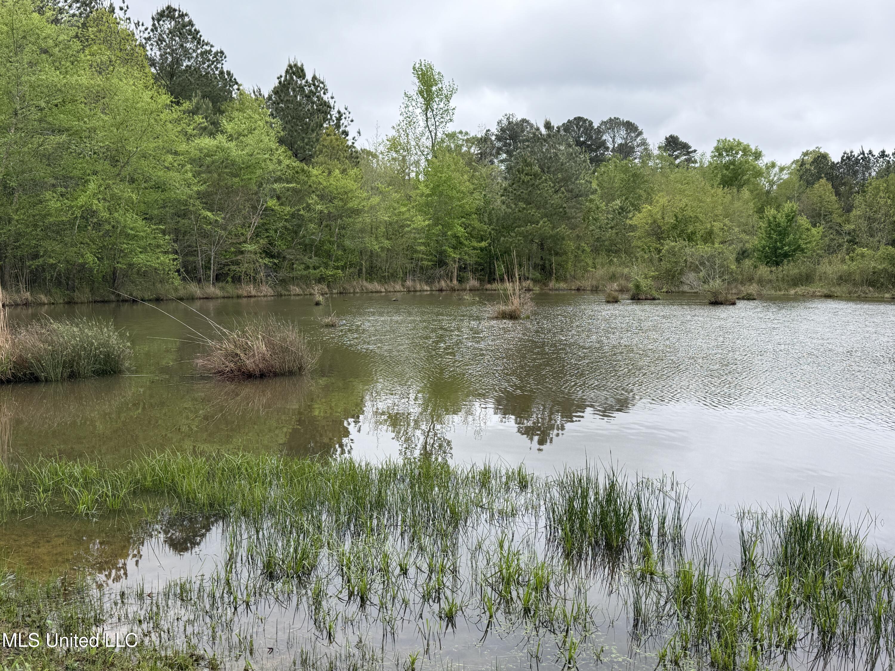 1102 Highway 35, Carthage, Mississippi image 15