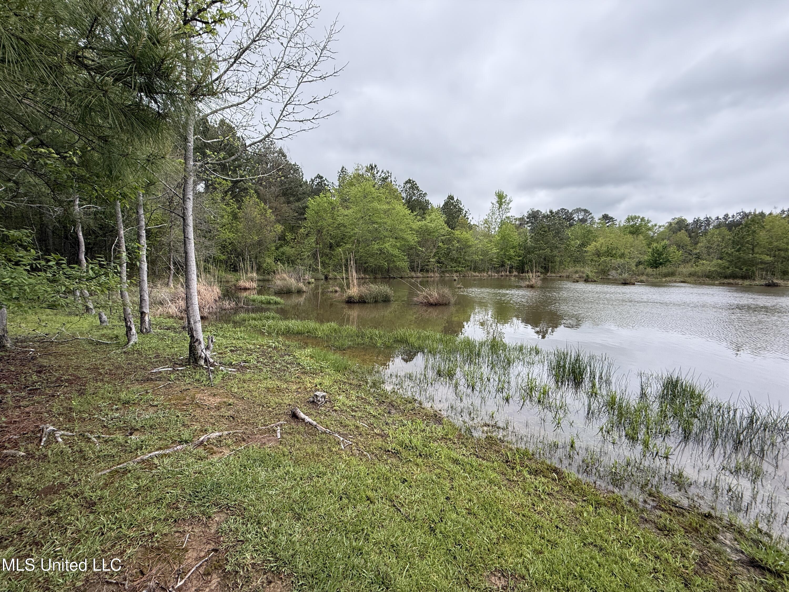 1102 Highway 35, Carthage, Mississippi image 10