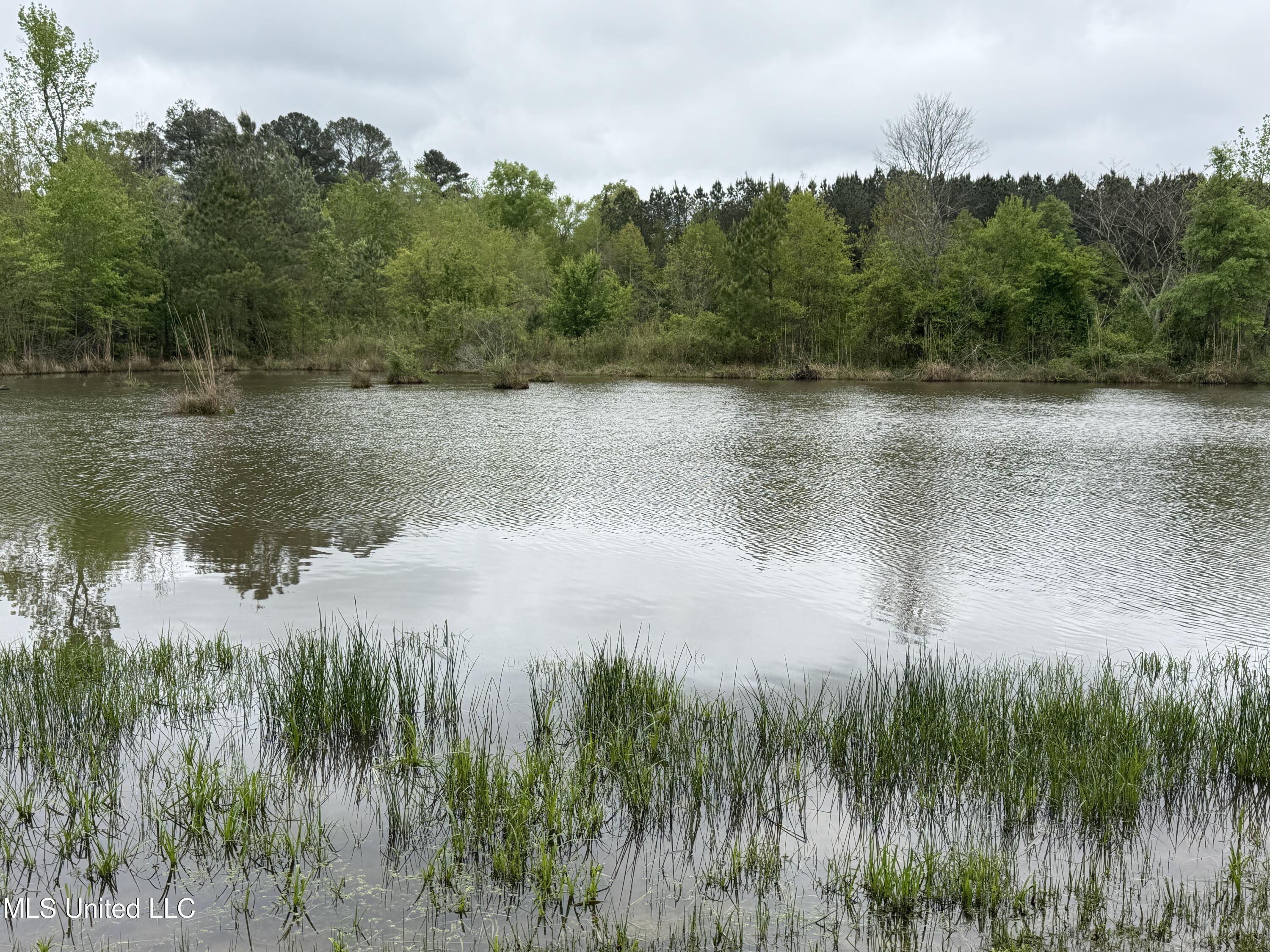 1102 Highway 35, Carthage, Mississippi image 16