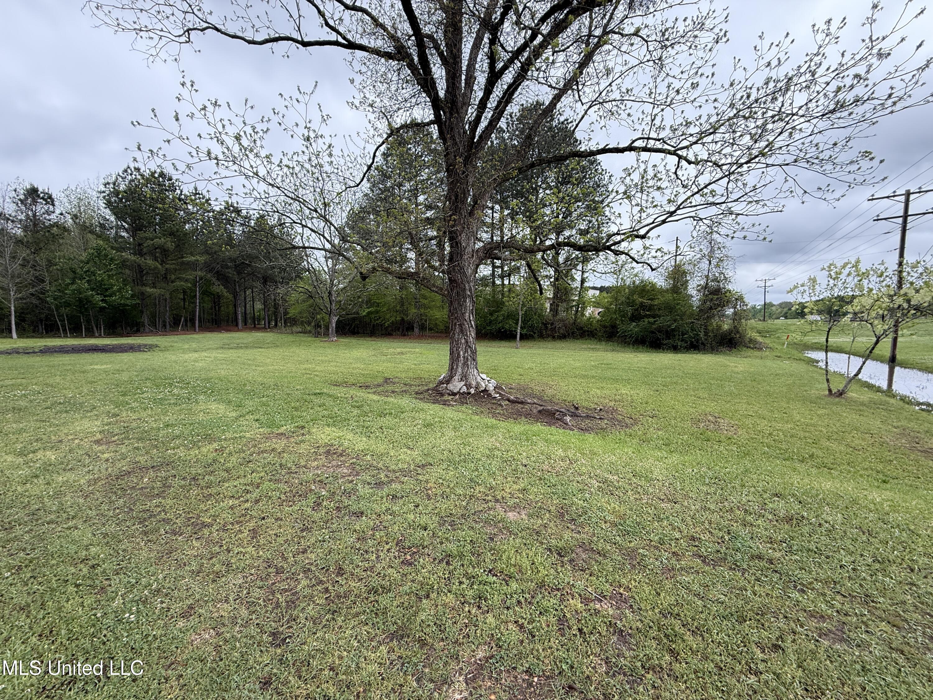 1102 Highway 35, Carthage, Mississippi image 2