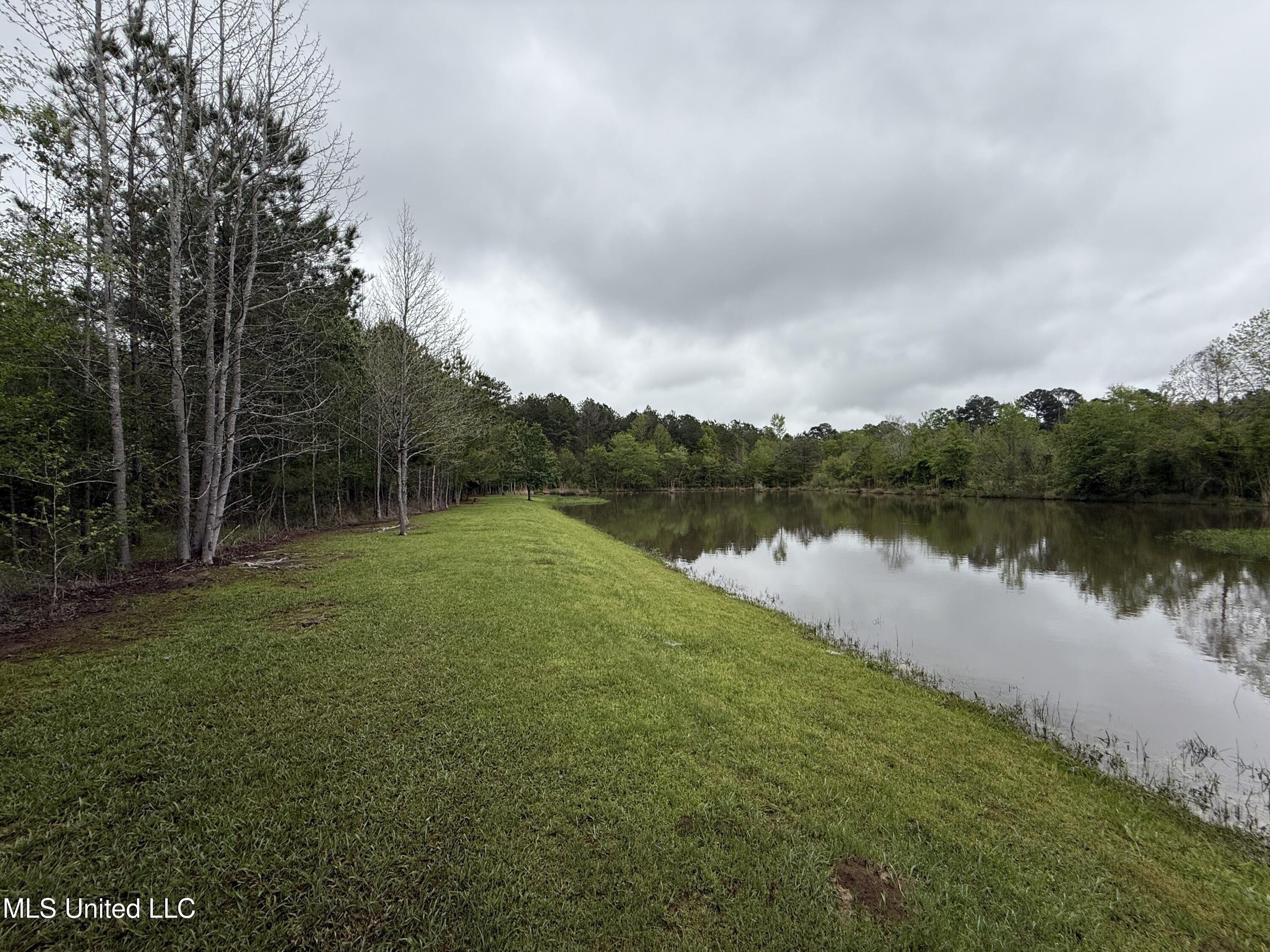 1102 Highway 35, Carthage, Mississippi image 9