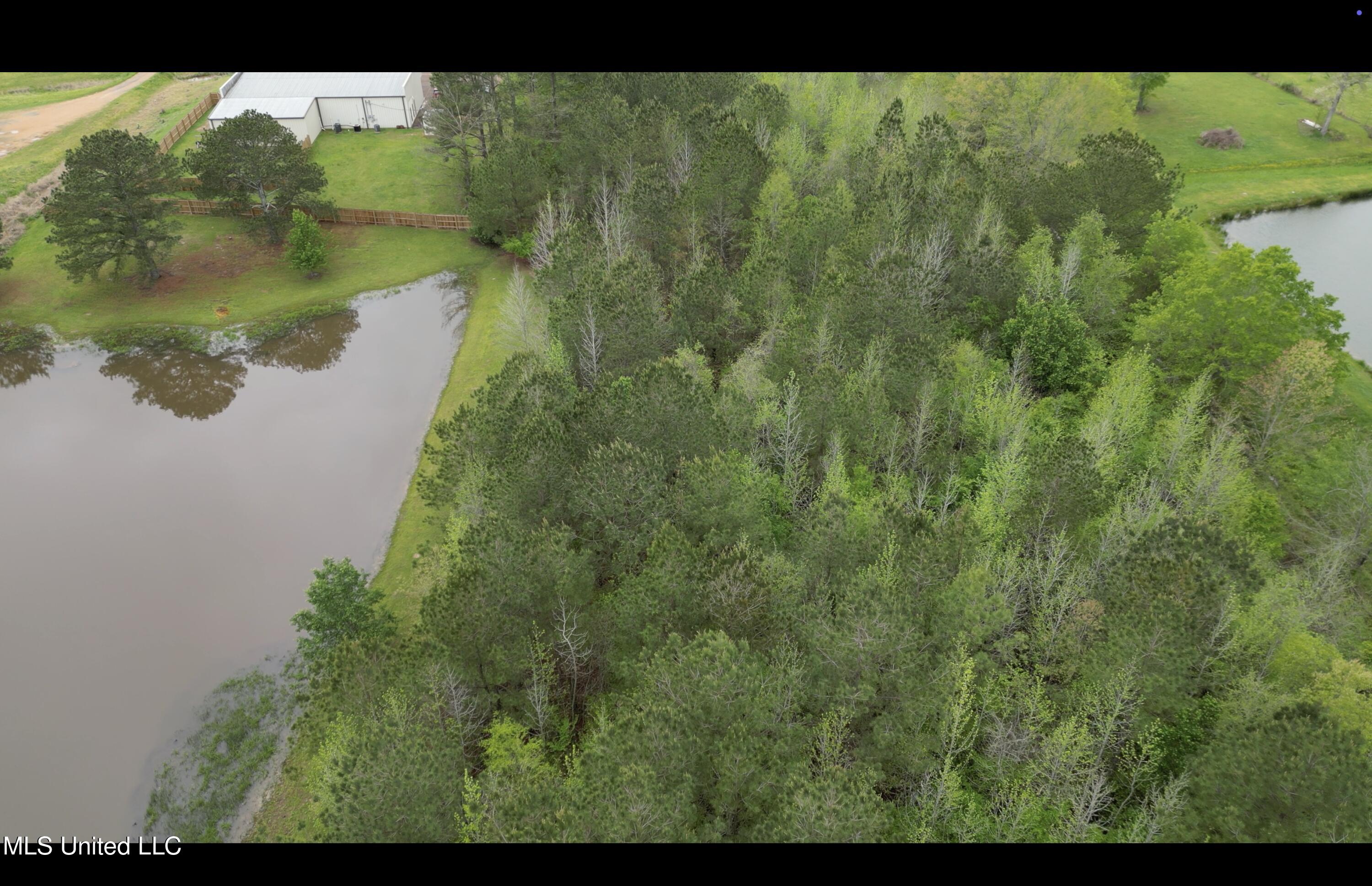 1102 Highway 35, Carthage, Mississippi image 27