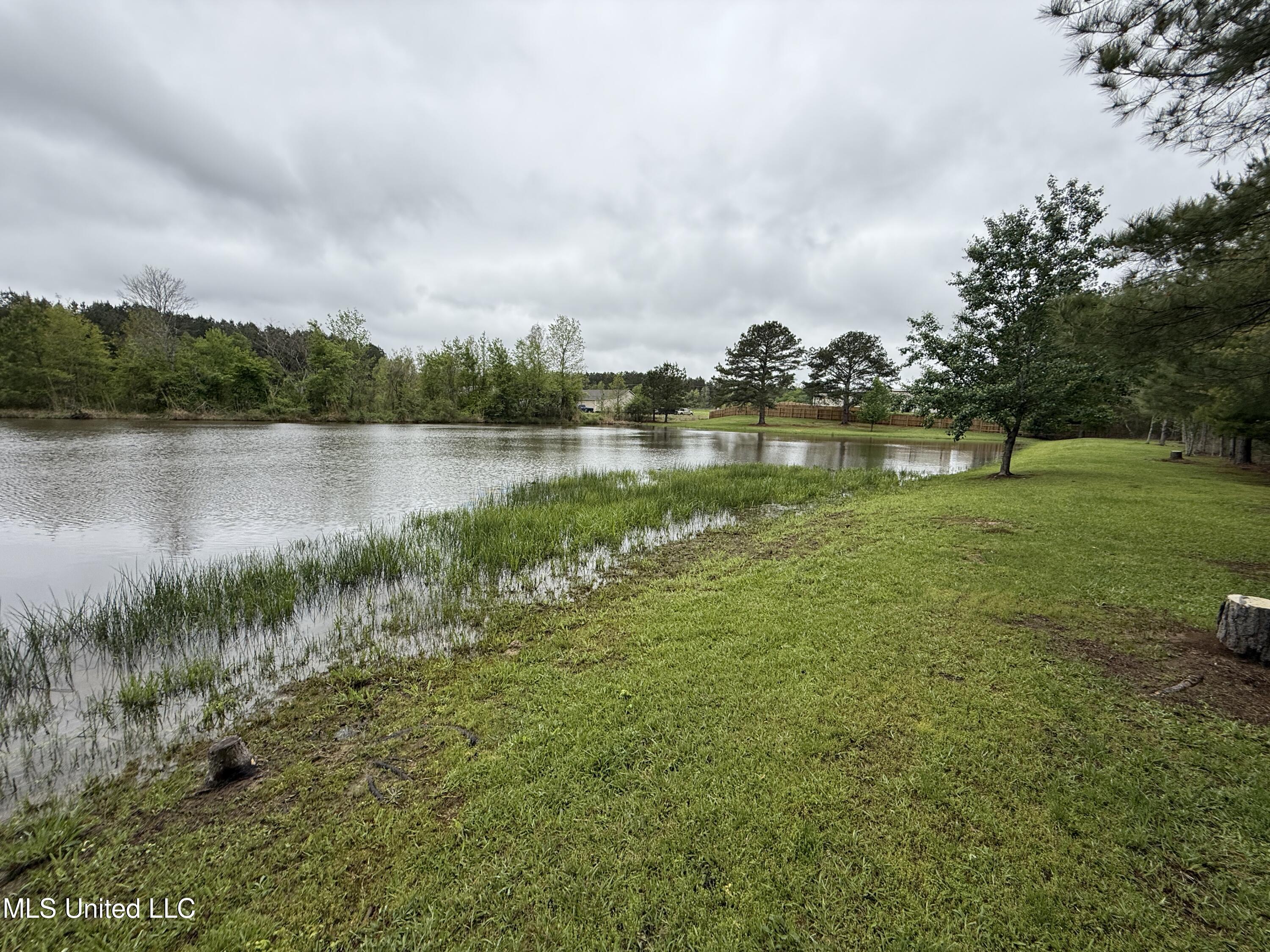 1102 Highway 35, Carthage, Mississippi image 12
