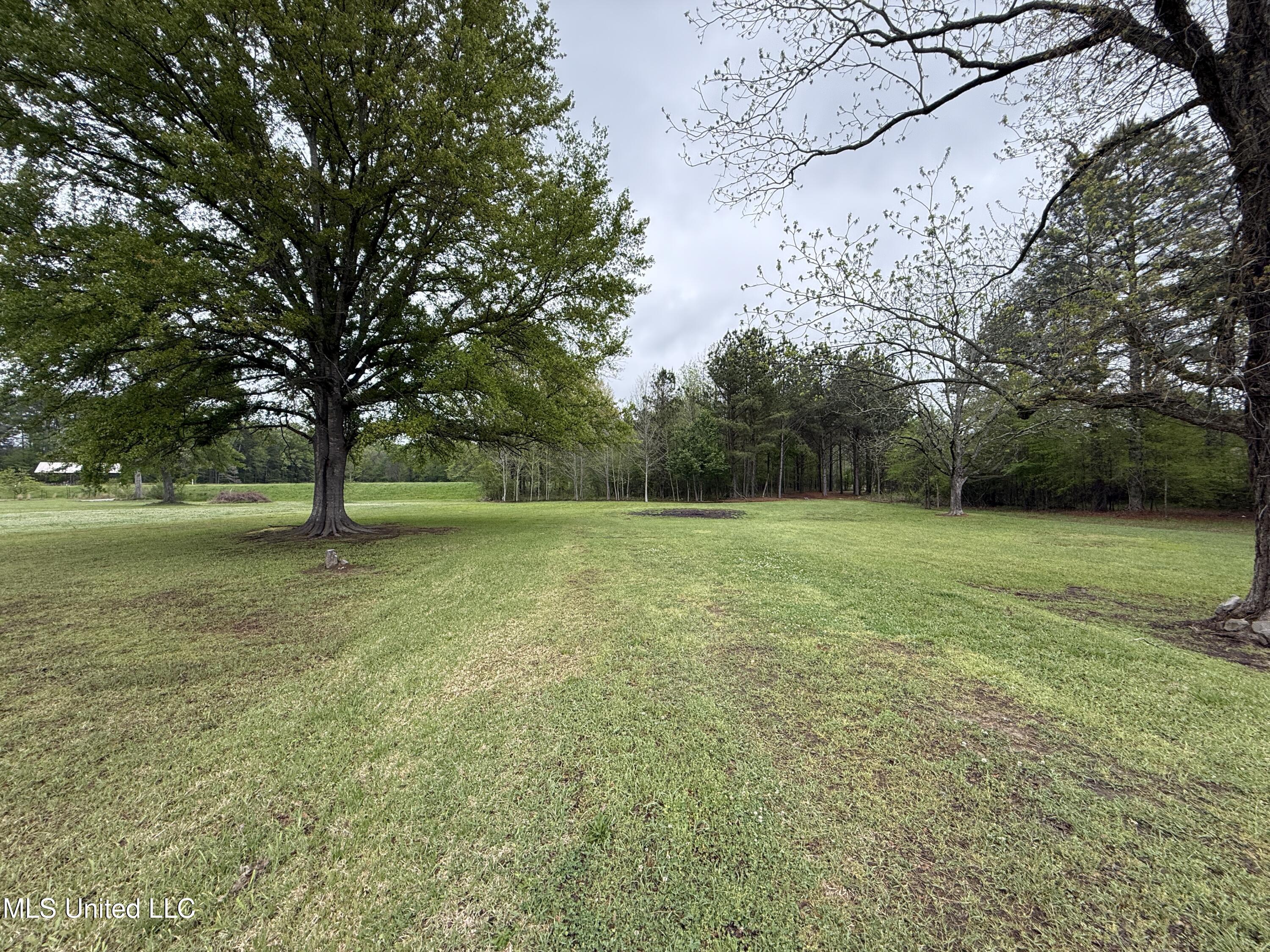 1102 Highway 35, Carthage, Mississippi image 3