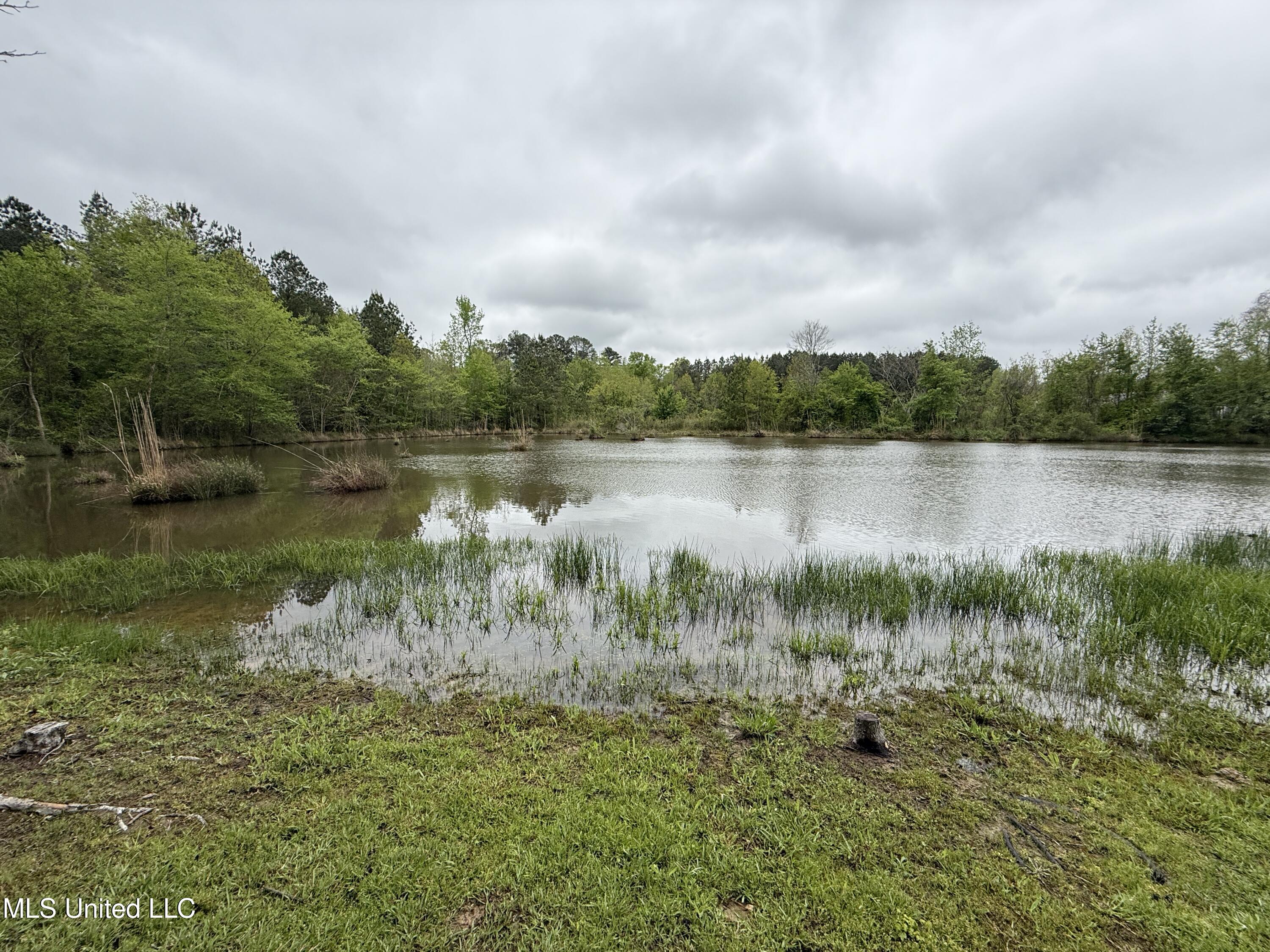 1102 Highway 35, Carthage, Mississippi image 11