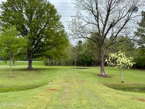 Vacant Land For Sale - 1102 Highway 35<br/> Leake County, Carthage, MS 39051