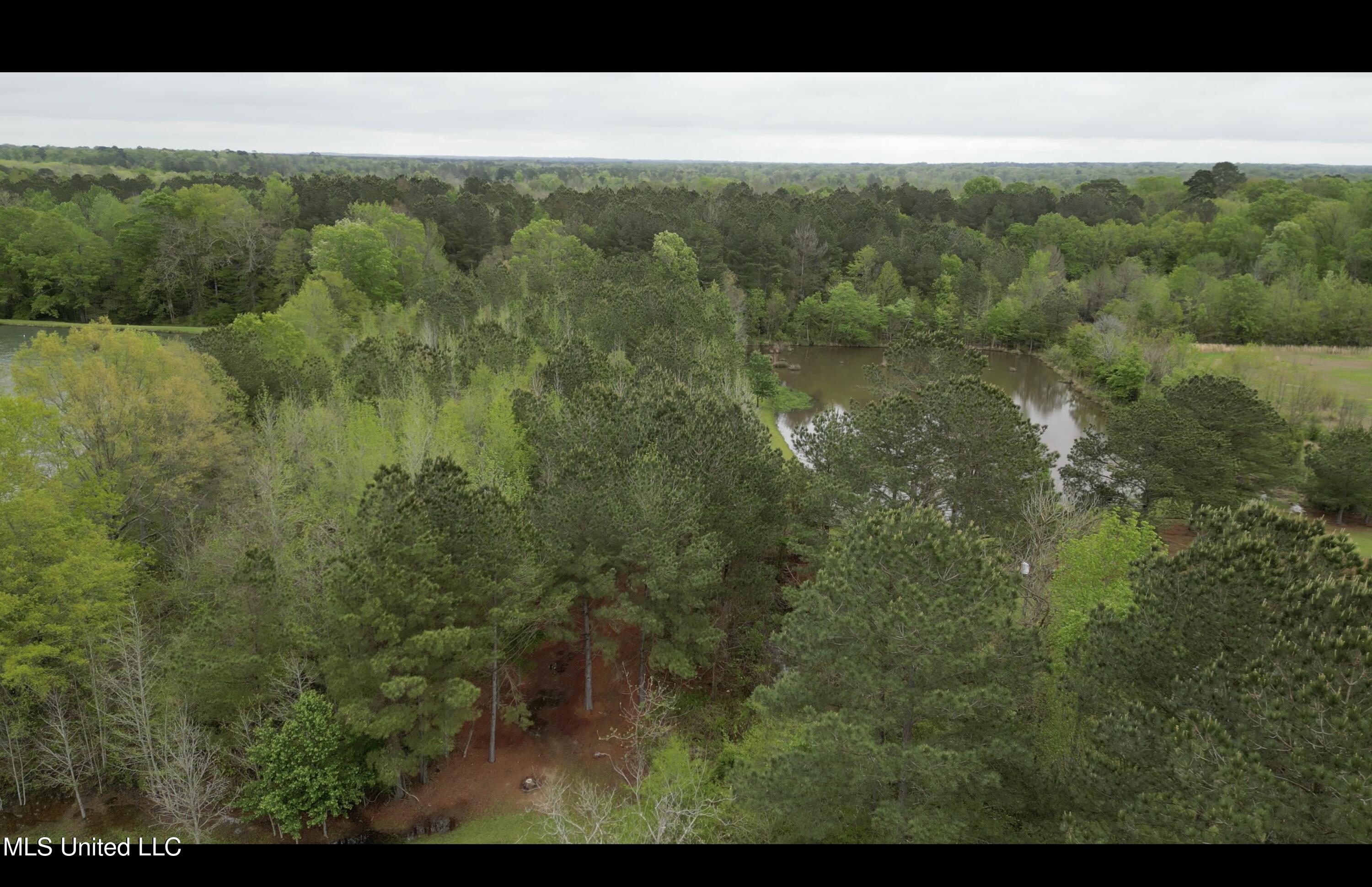 1102 Highway 35, Carthage, Mississippi image 26
