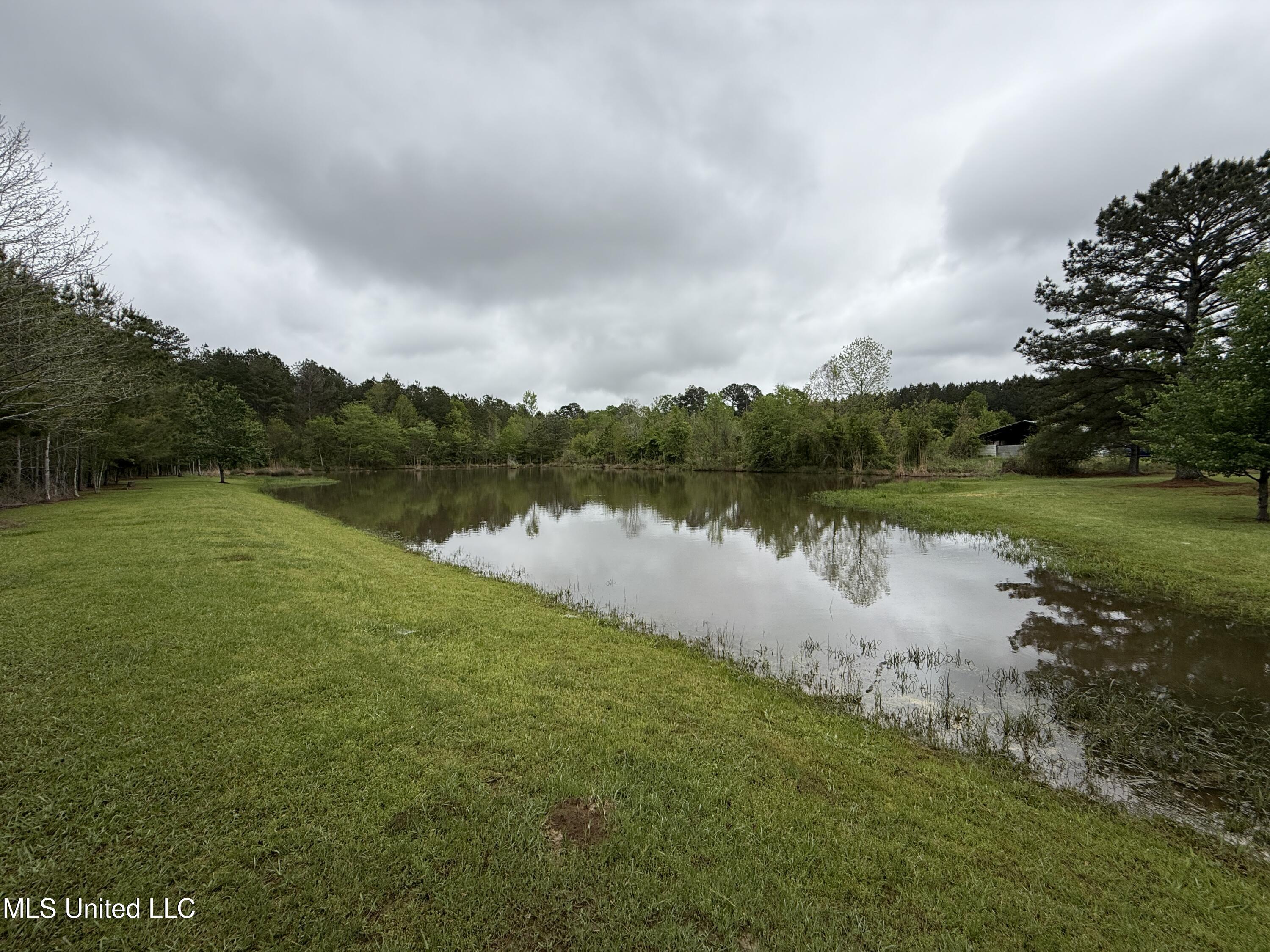 1102 Highway 35, Carthage, Mississippi image 8