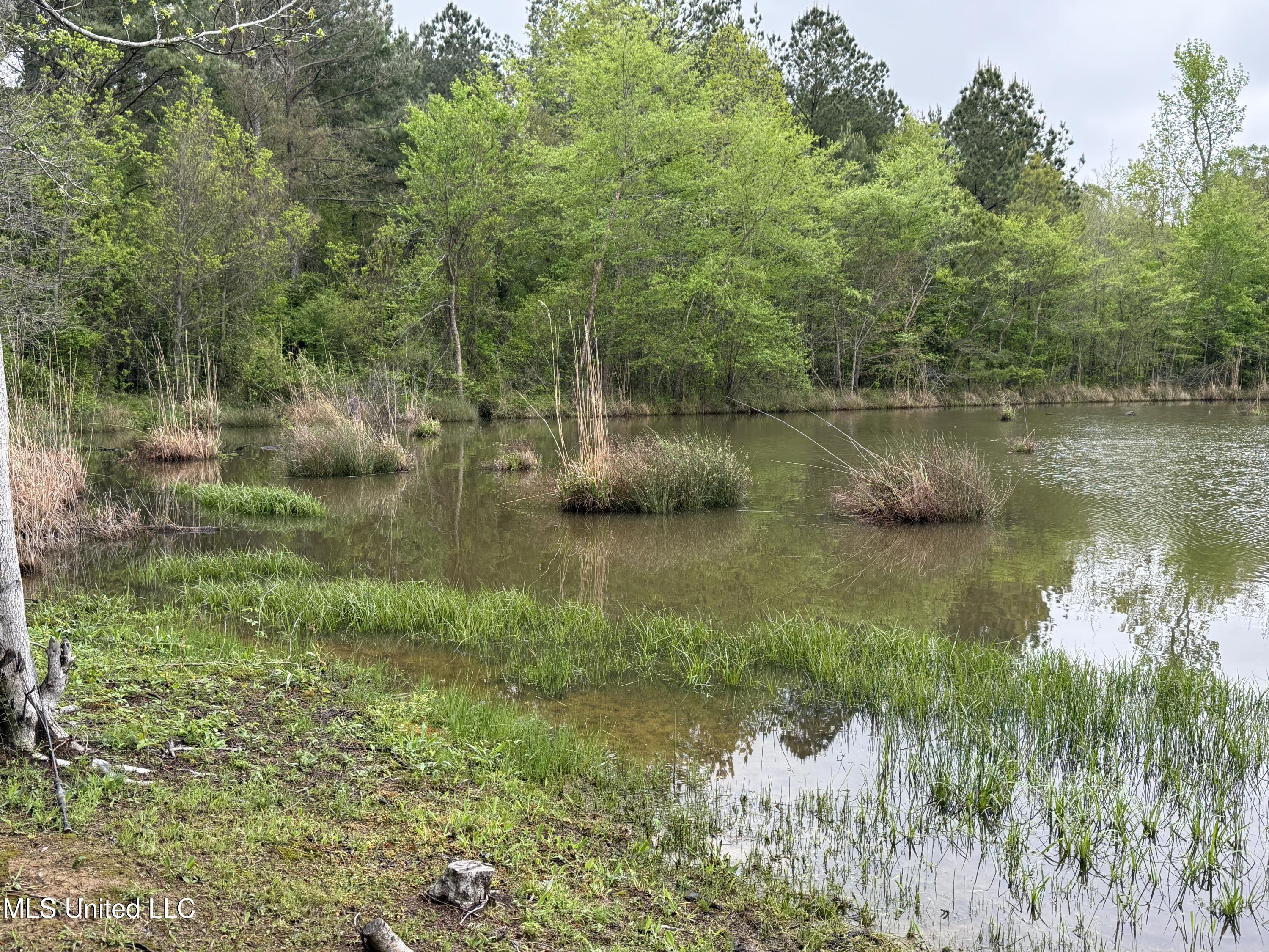1102 Highway 35, Carthage, Mississippi image 14