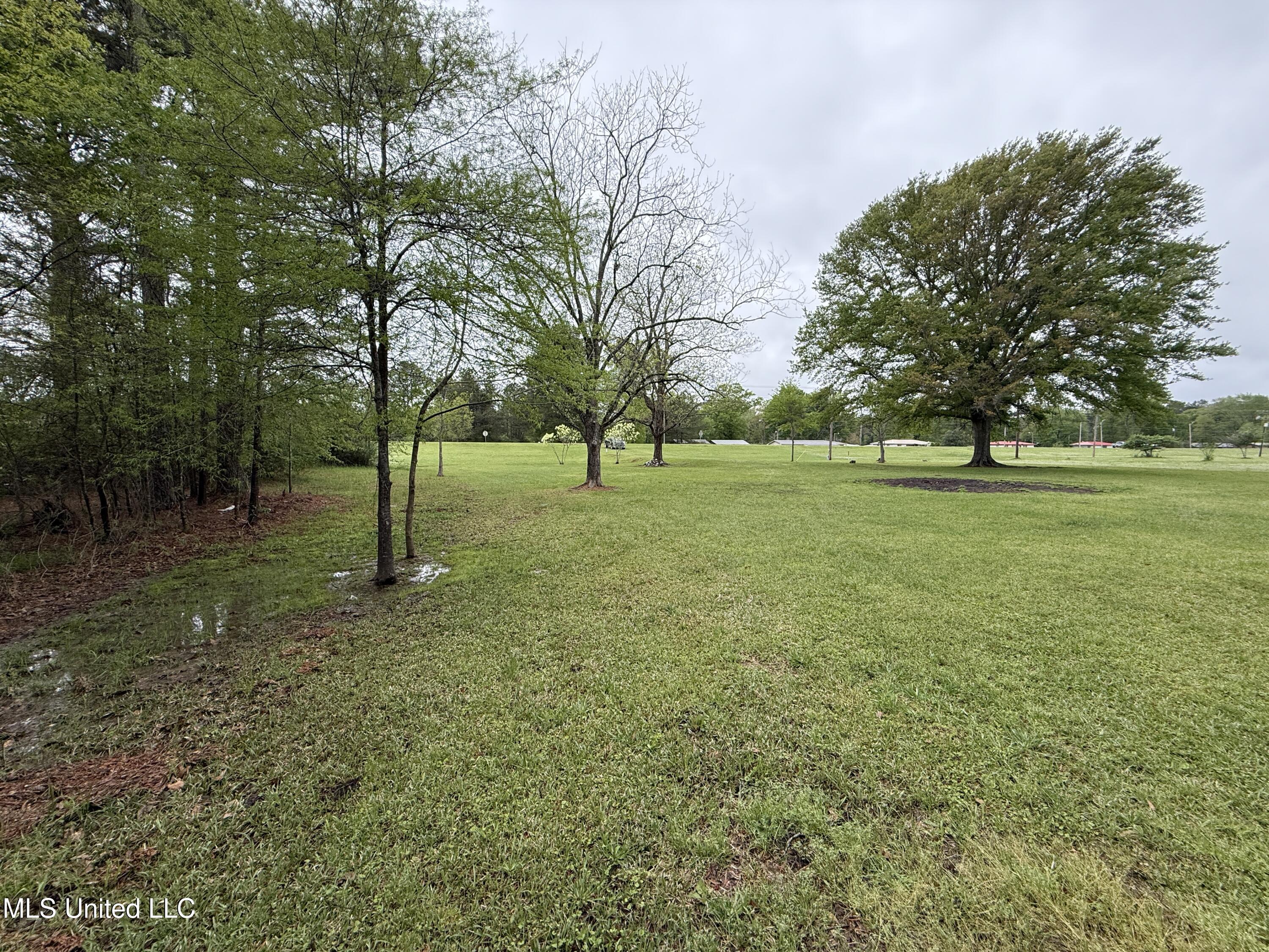 1102 Highway 35, Carthage, Mississippi image 4