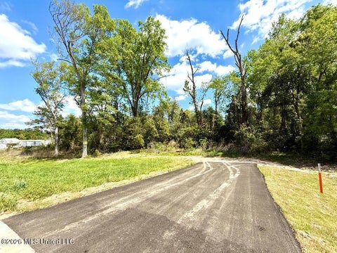 Vacant Land For Sale - 714 N Curran Avenue<br/> Picayune, MS 39466