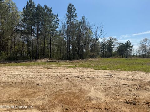 Vacant Land For Sale - LOT 9 Oakley Lane<br/> Lucedale, MS 39452