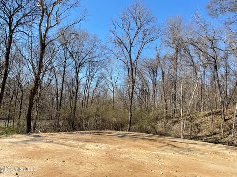 Vacant Land For Sale - 15944 Brownsferry Road<br/> Sarah, MS 38665