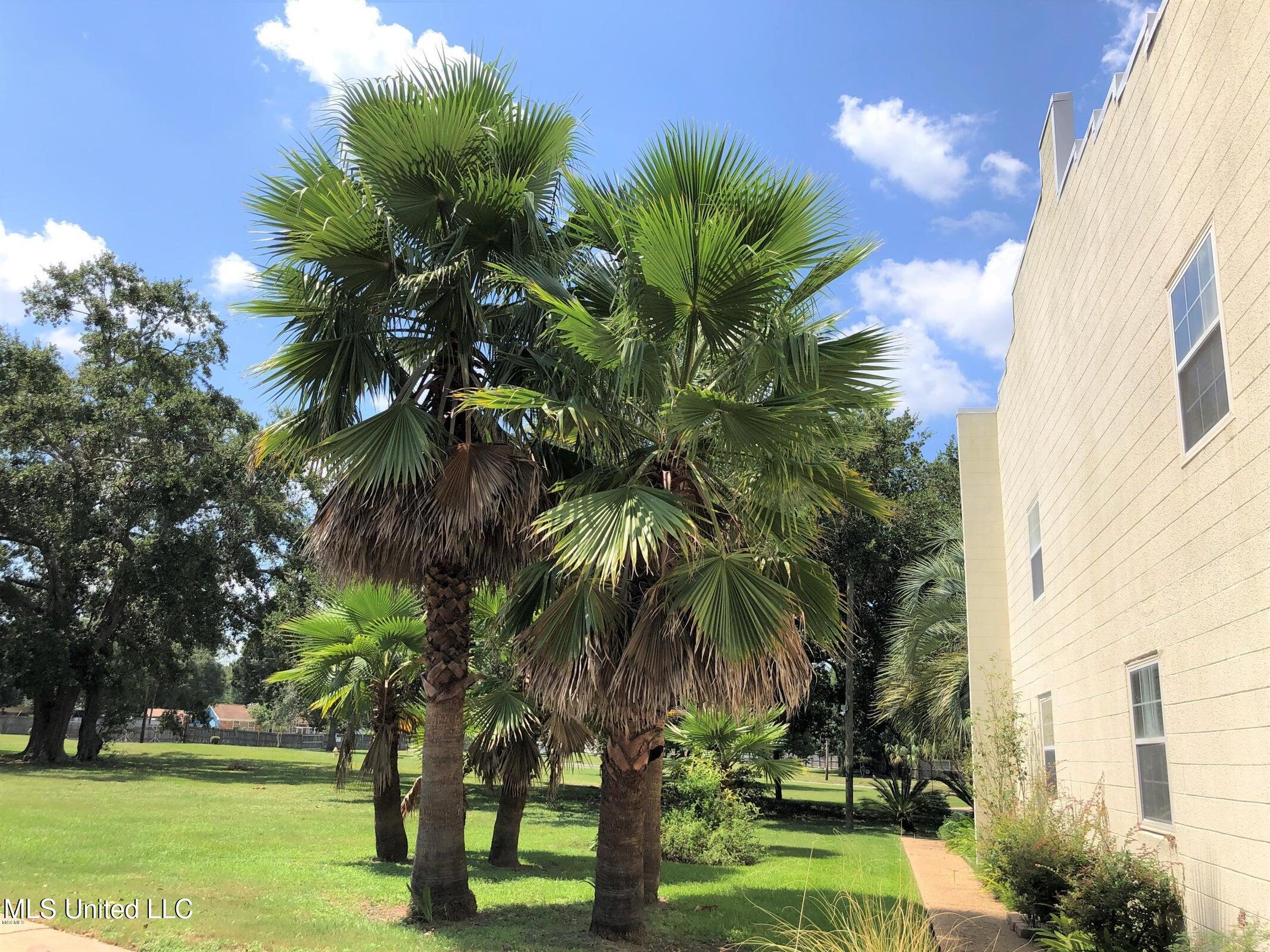 2501 Gulf Avenue #22, Gulfport, Mississippi image 22
