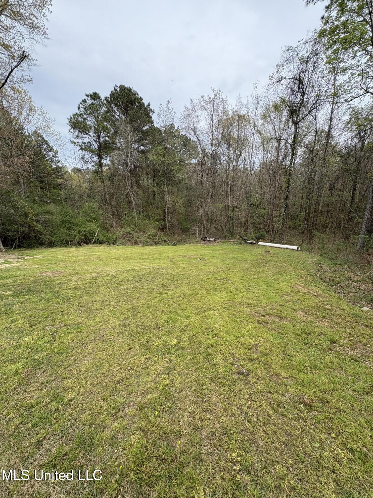120 Mcalpin Road, Florence, Mississippi image 8