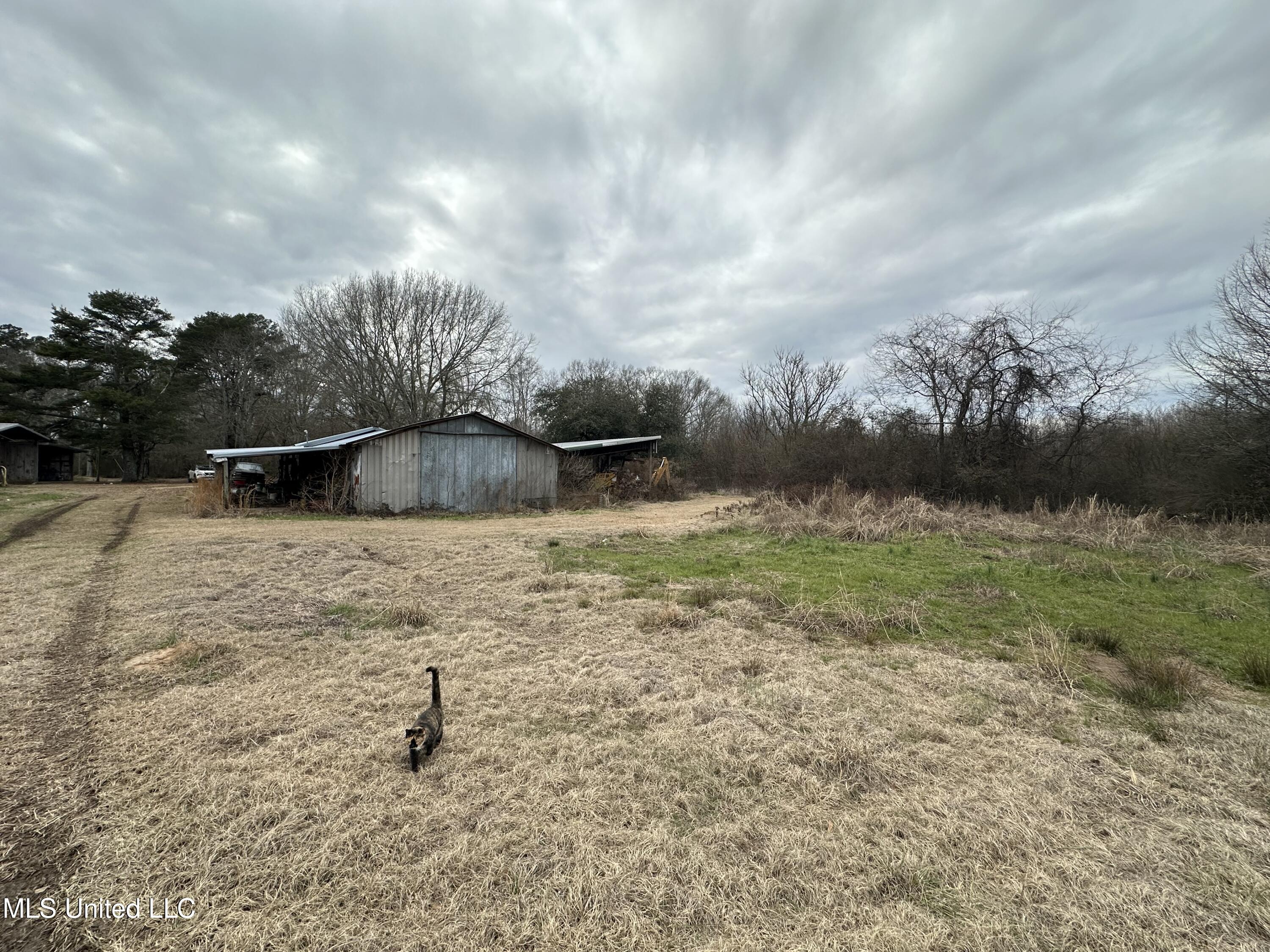 4513 Lawrence Hazel Road, Lawrence, Mississippi image 29