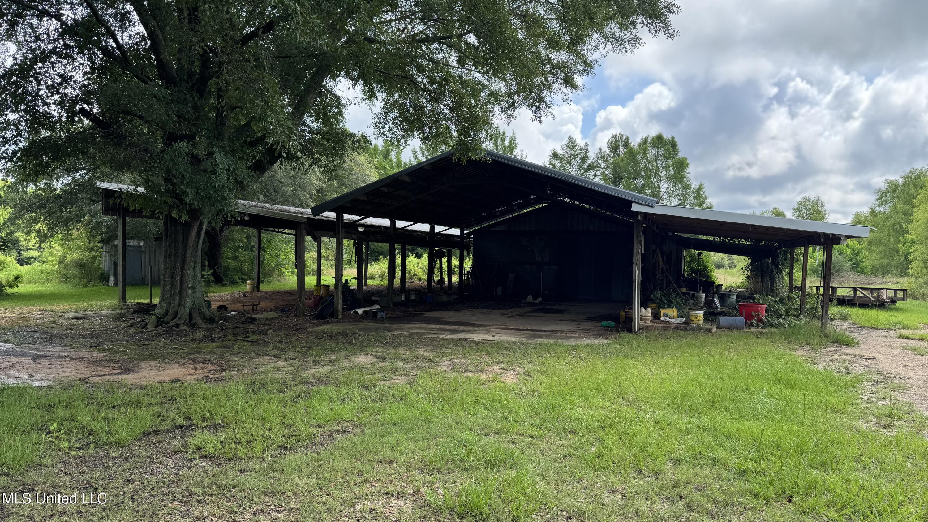 4513 Lawrence Hazel Road, Lawrence, Mississippi image 18