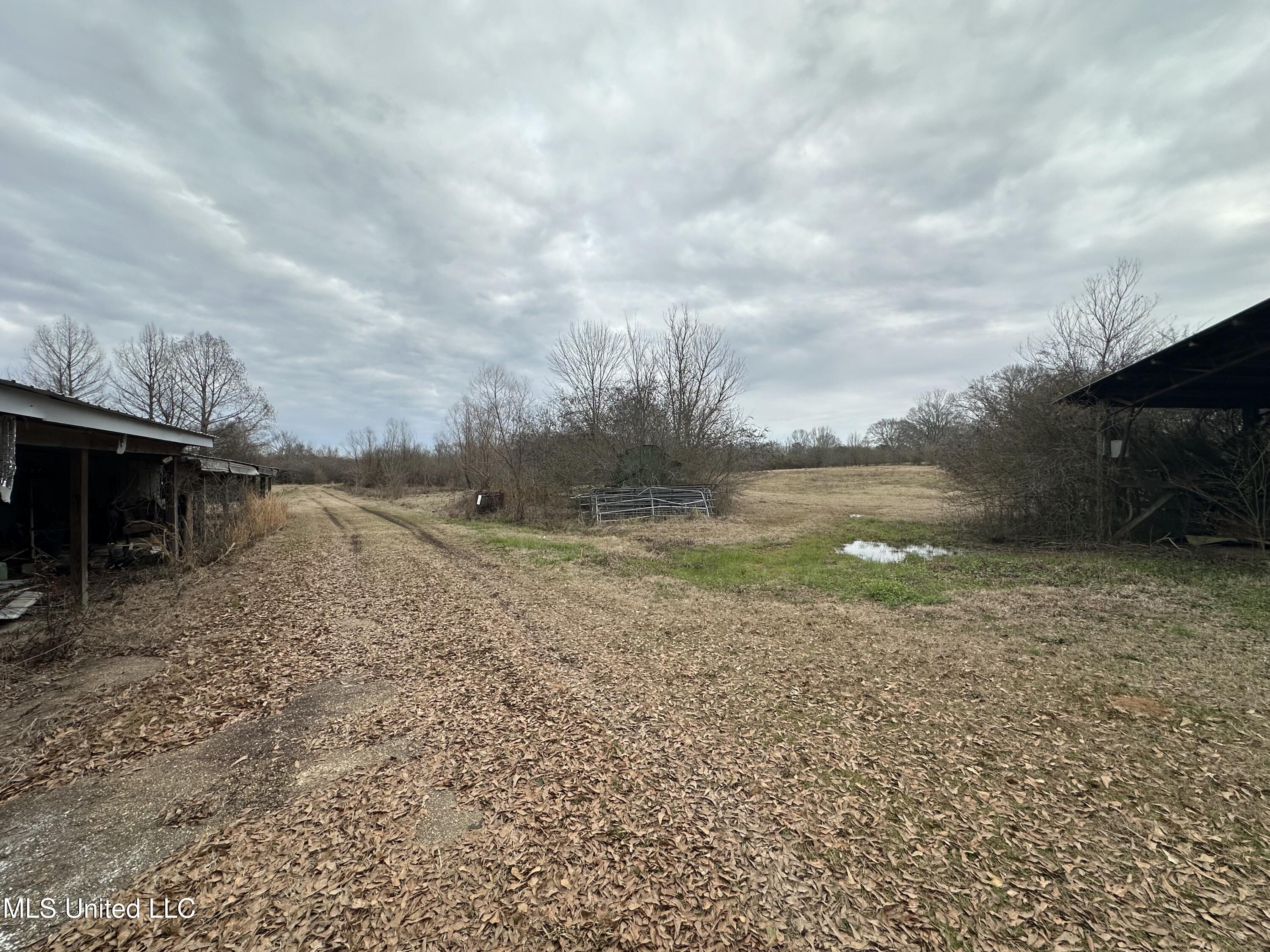 4513 Lawrence Hazel Road, Lawrence, Mississippi image 27