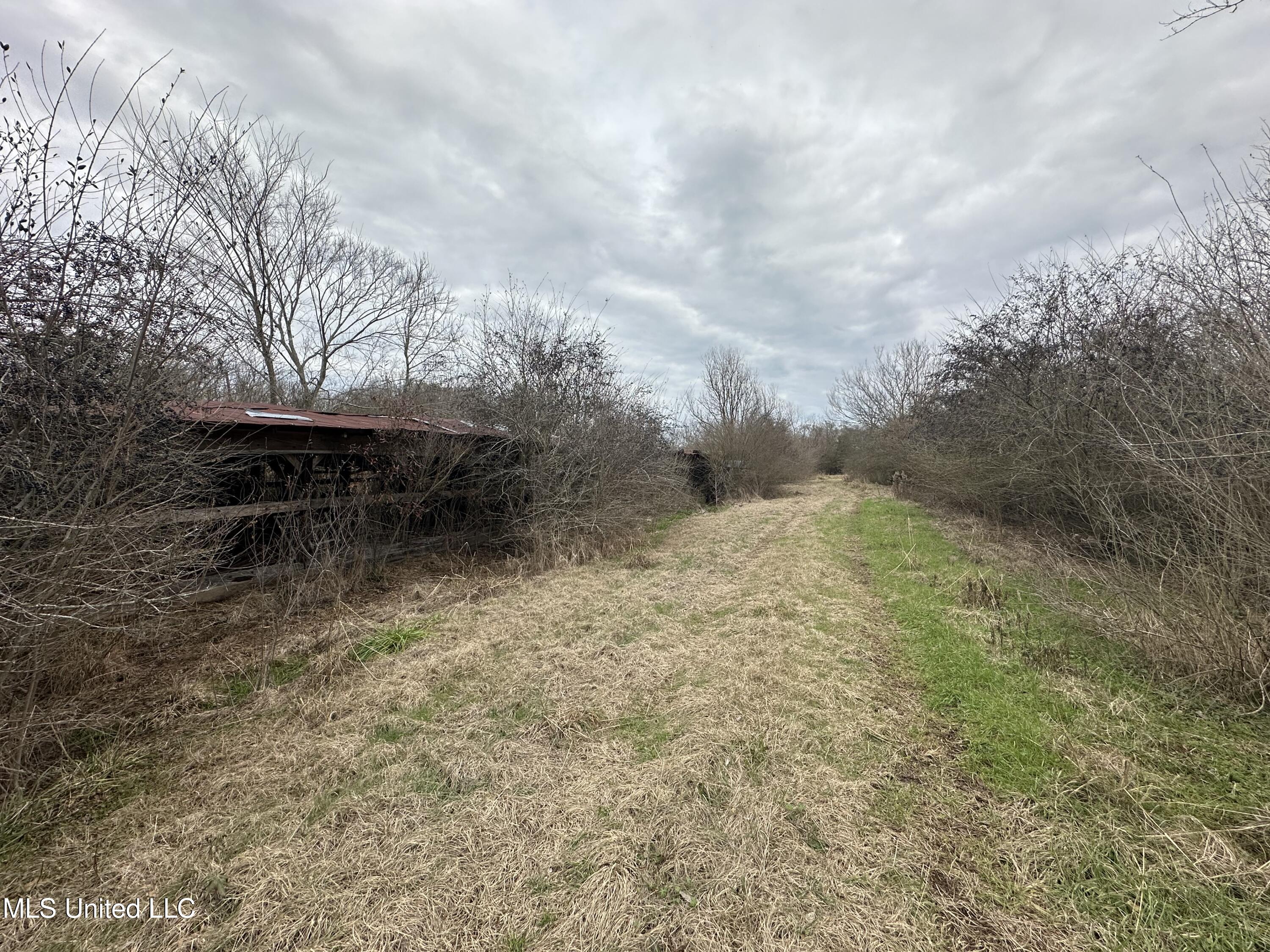 4513 Lawrence Hazel Road, Lawrence, Mississippi image 32