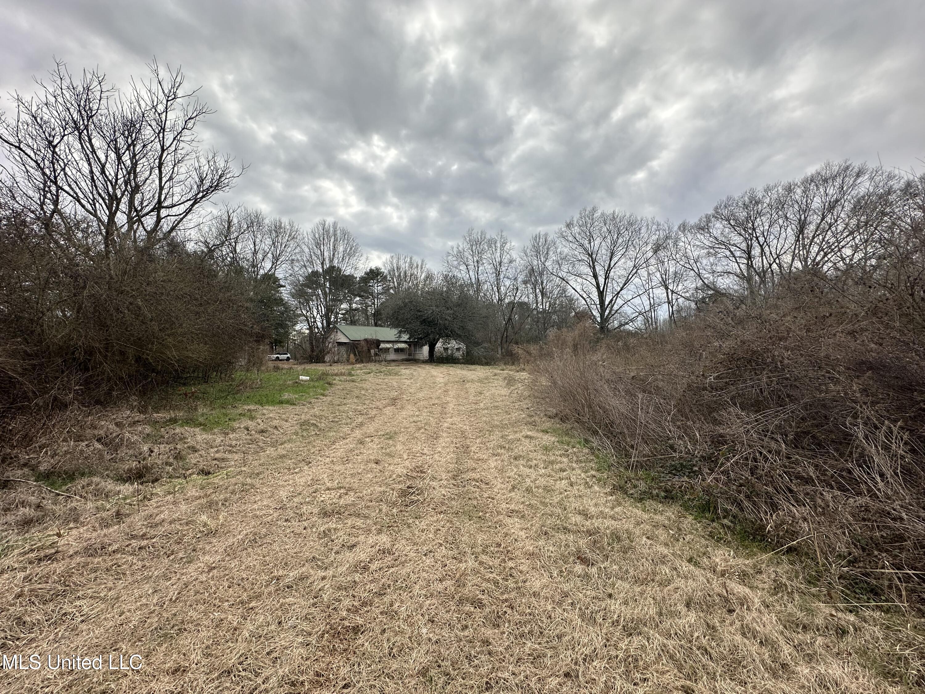 4513 Lawrence Hazel Road, Lawrence, Mississippi image 26